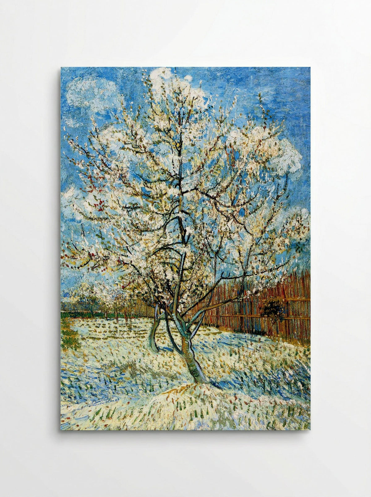 Peach Trees in Blossom - Vincent van Gogh - Poster