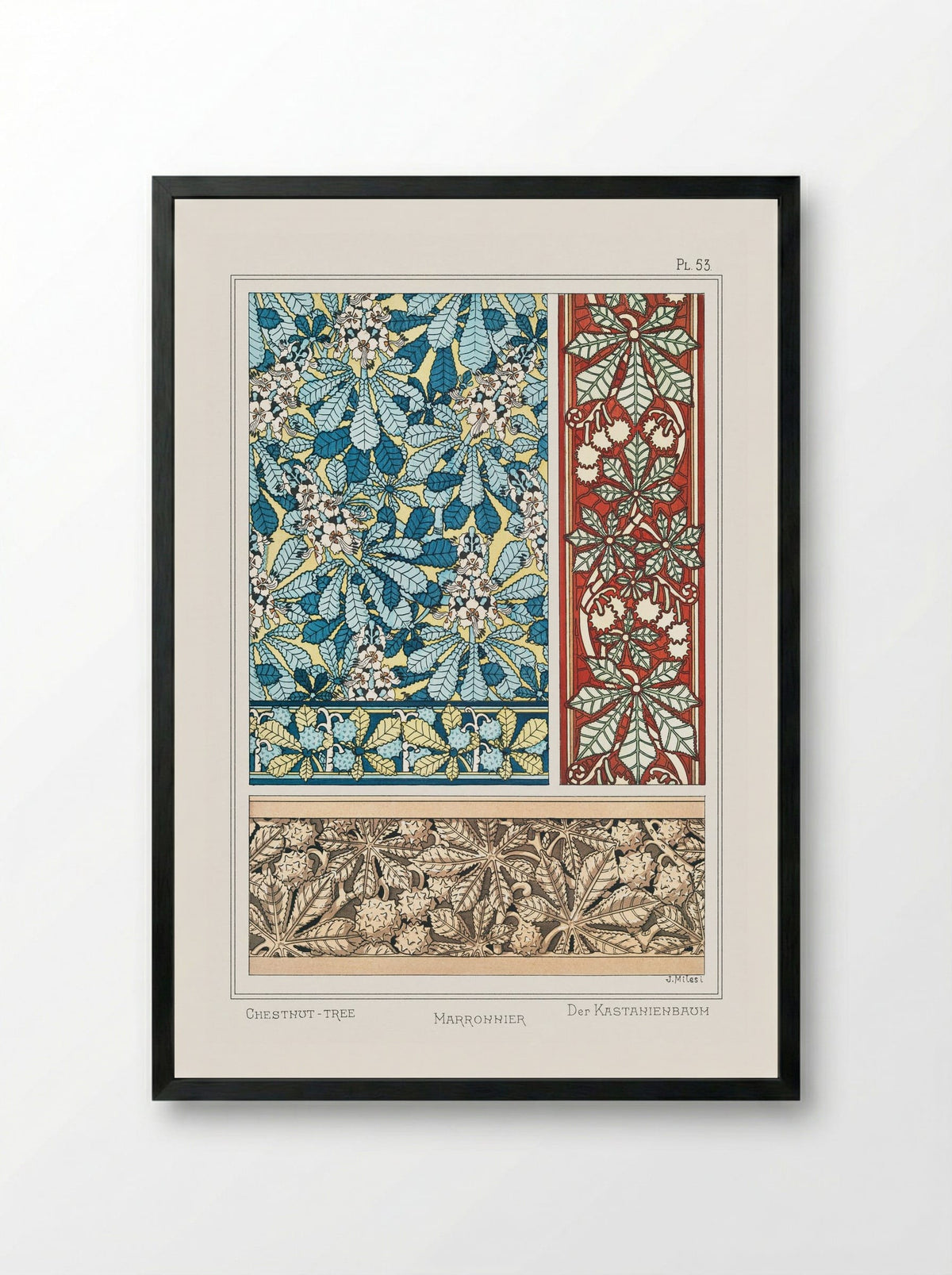 Marronnier (Chestnut Tree) from La Plante et ses Applications ornementales - Maurice Pillard Verneuil - Framed Print Black