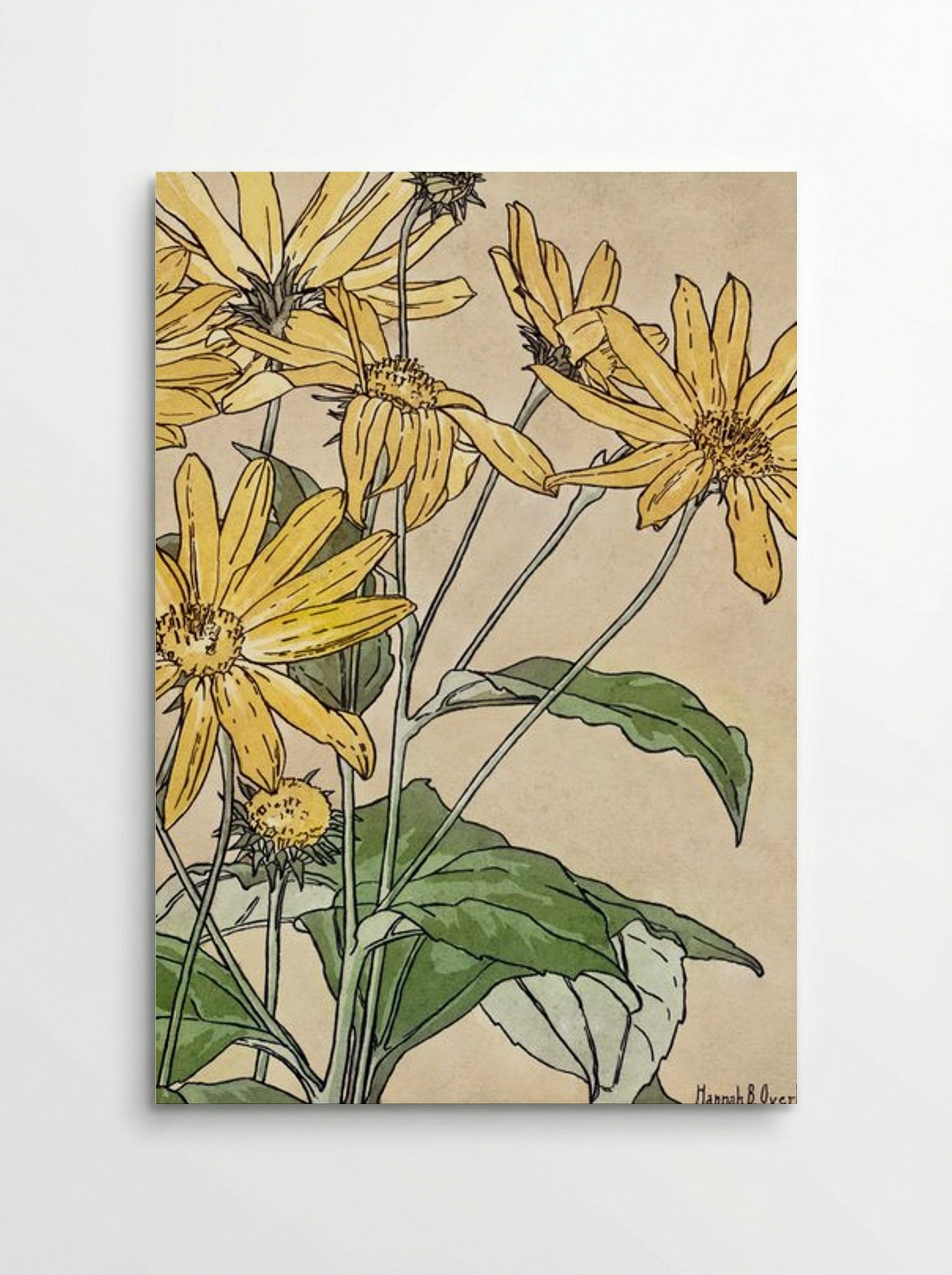 Sunflowers - Hannah Borger Overbeck - Poster