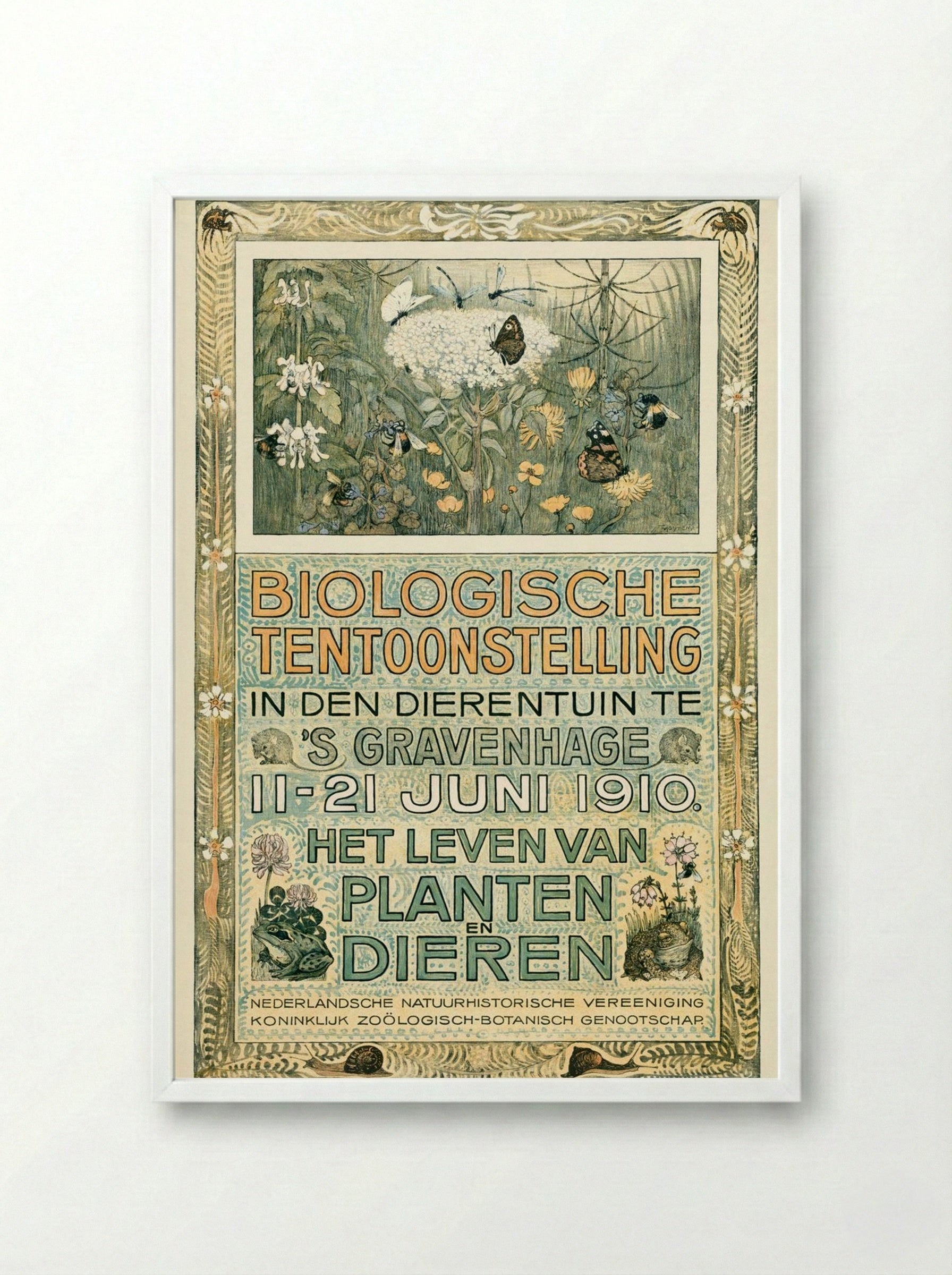 Poster of the Biologische Tentoonstelling (Biological Exhibition) - Theo van Hoytema - Framed Print White