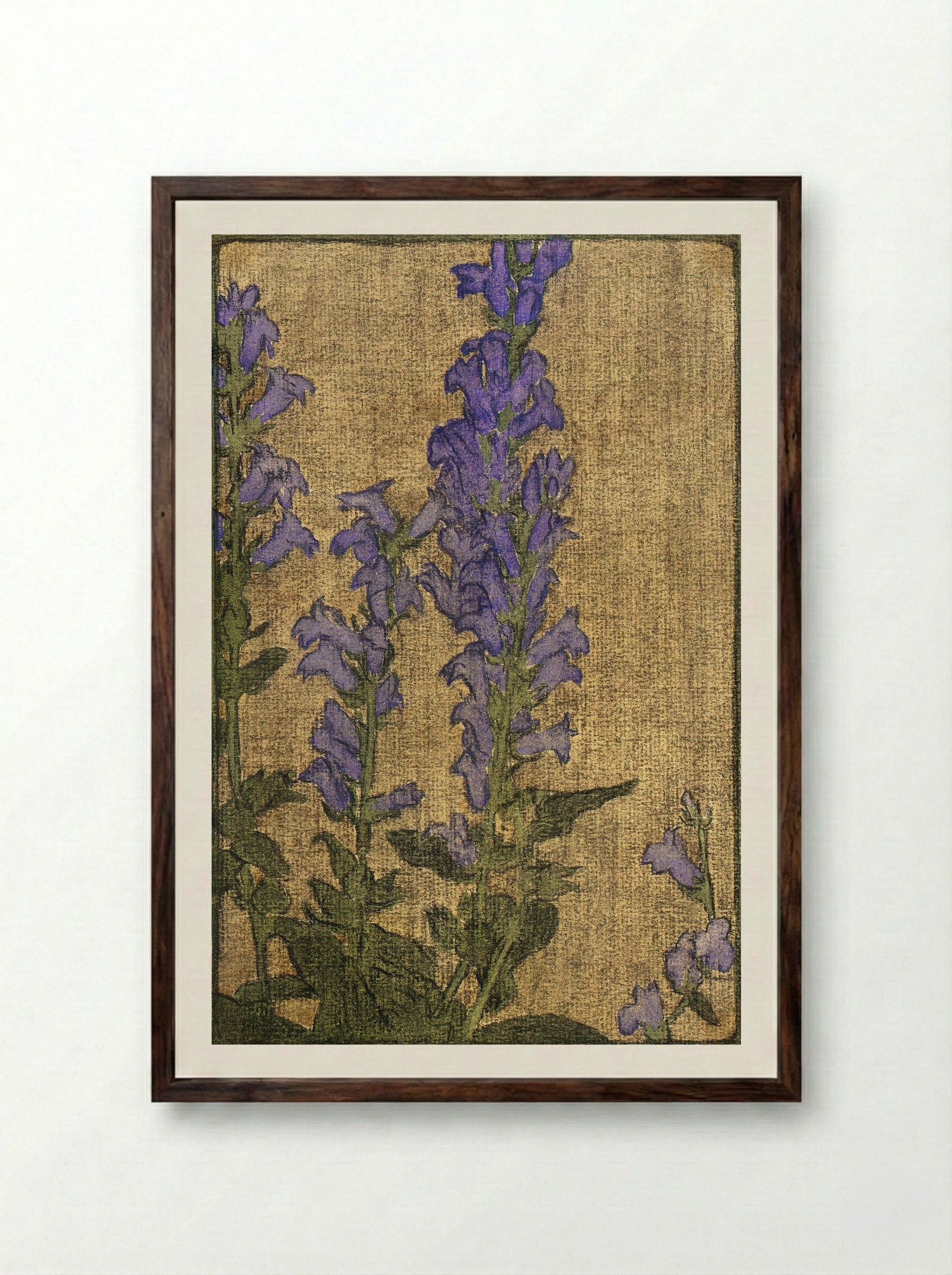 Delphinium (1915) - Hannah Borger Overbeck - Framed Print Dark Wood