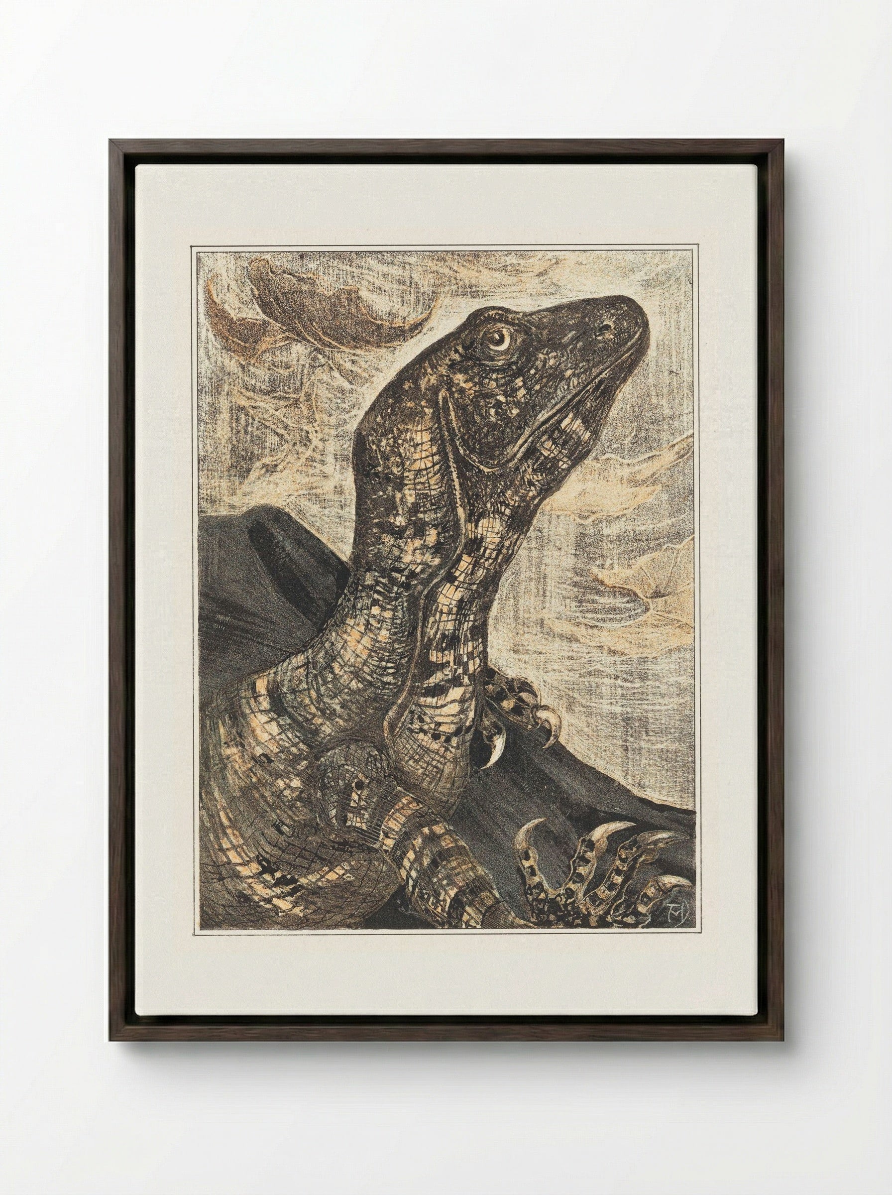 Leguaan (Monitor Lizard) - Theo van Hoytema - Framed Canvas Dark Wood