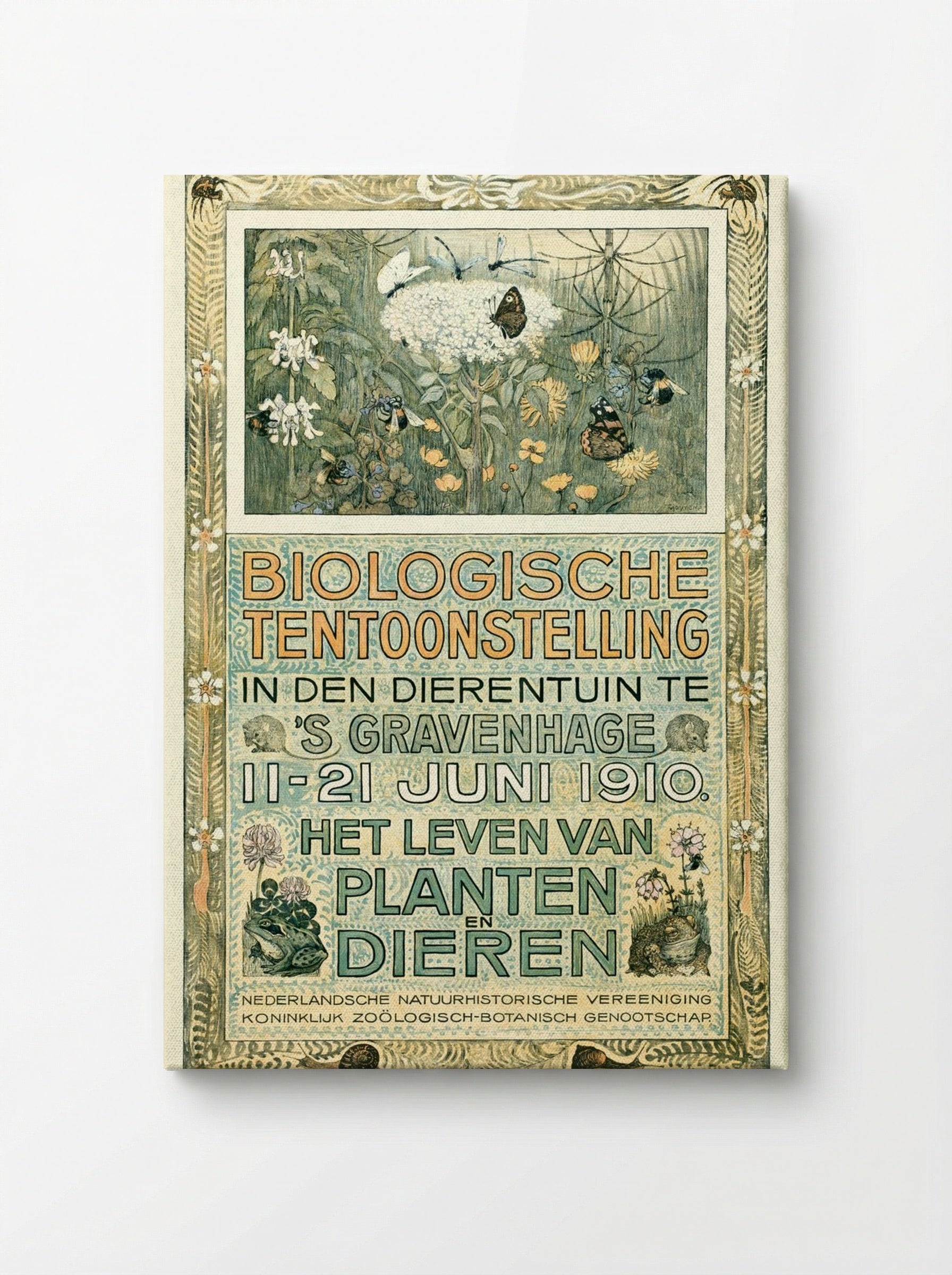 Poster of the Biologische Tentoonstelling (Biological Exhibition) - Theo van Hoytema - Canvas