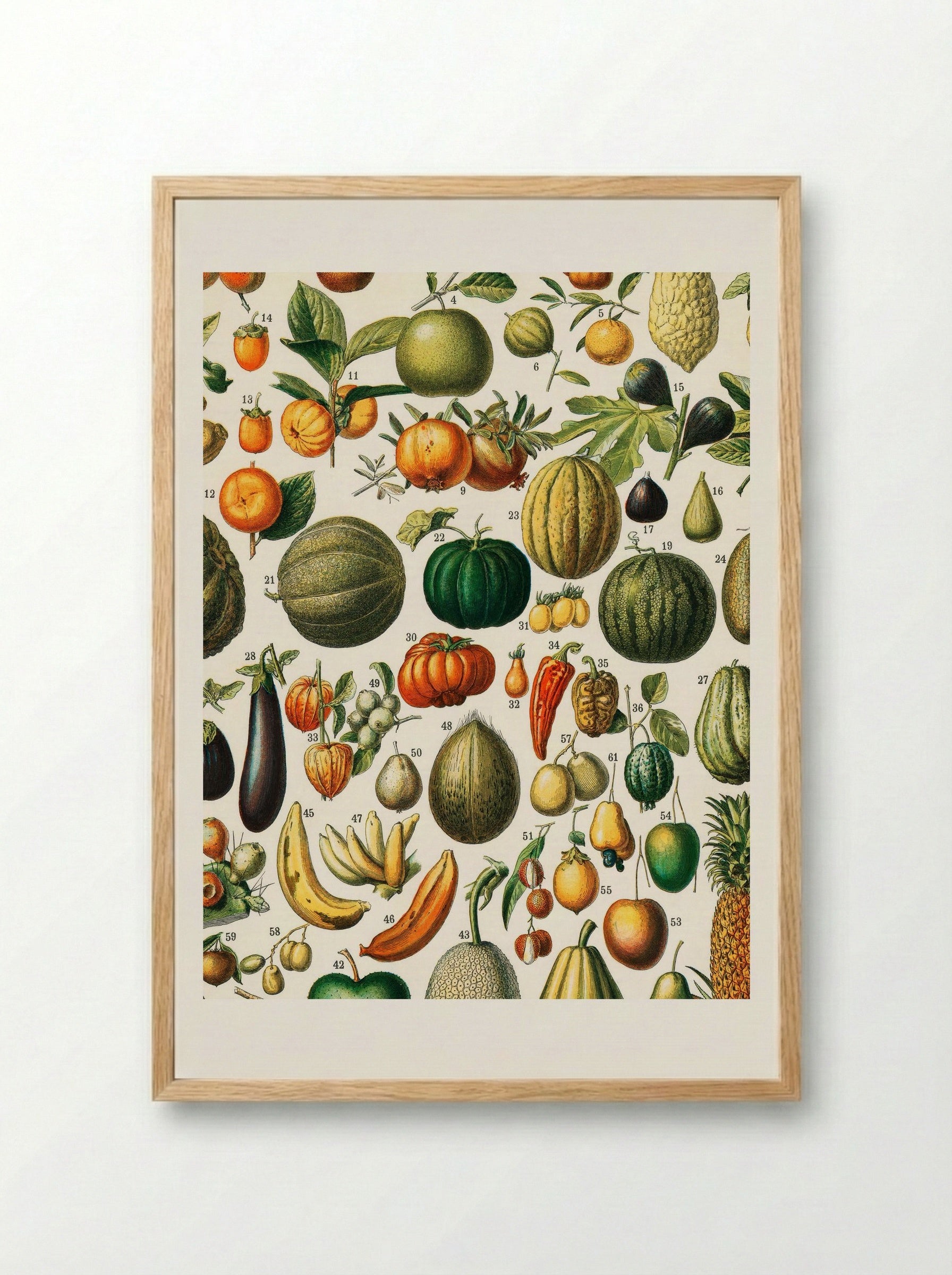 Fruits (from Nouveau Larousse Illustré) - Adolphe Millot - Framed Print Wood