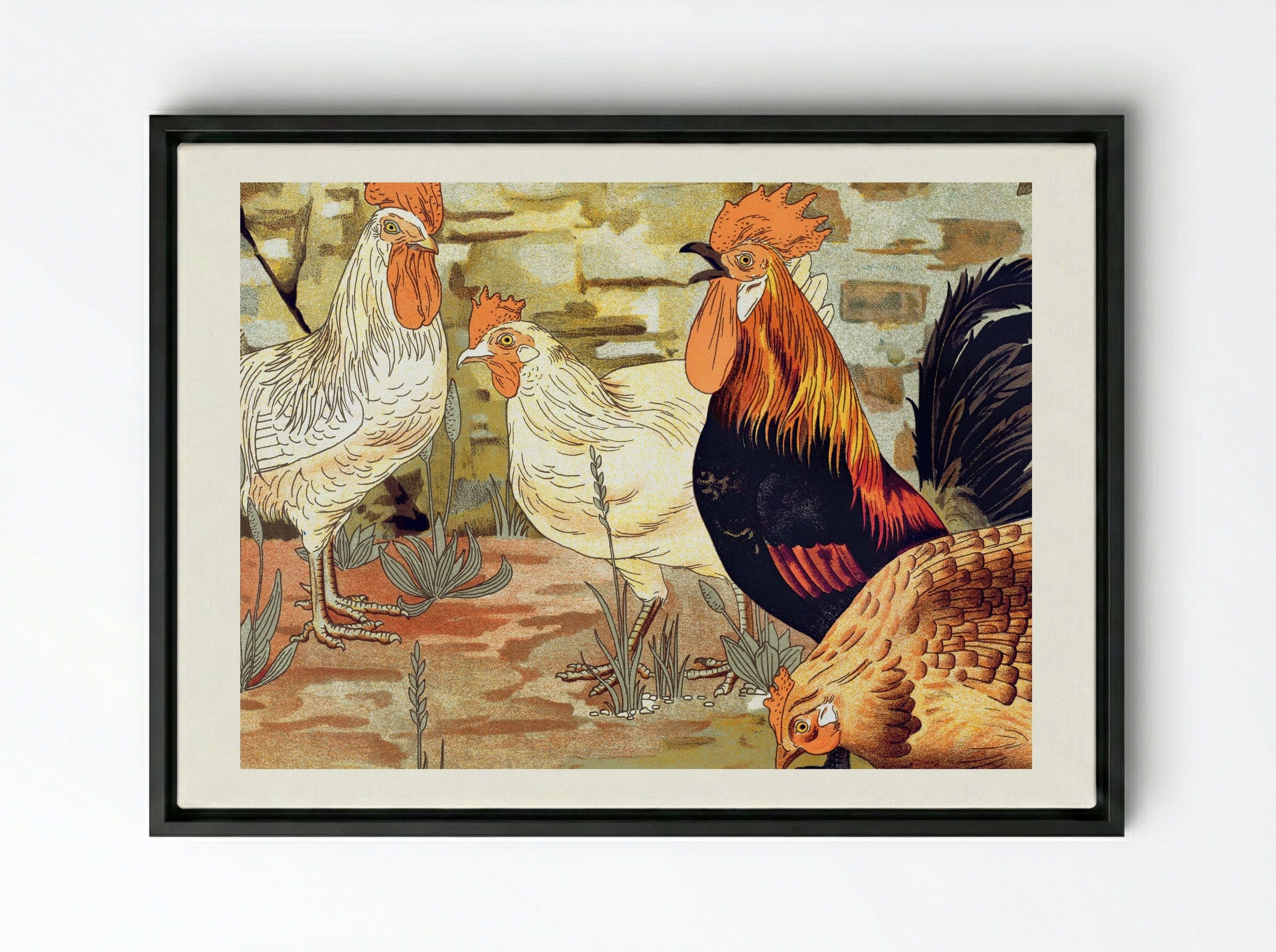 Coqs et Poules (From L'animal dans la décoration) - Maurice Pillard Verneuil - Framed Canvas Black