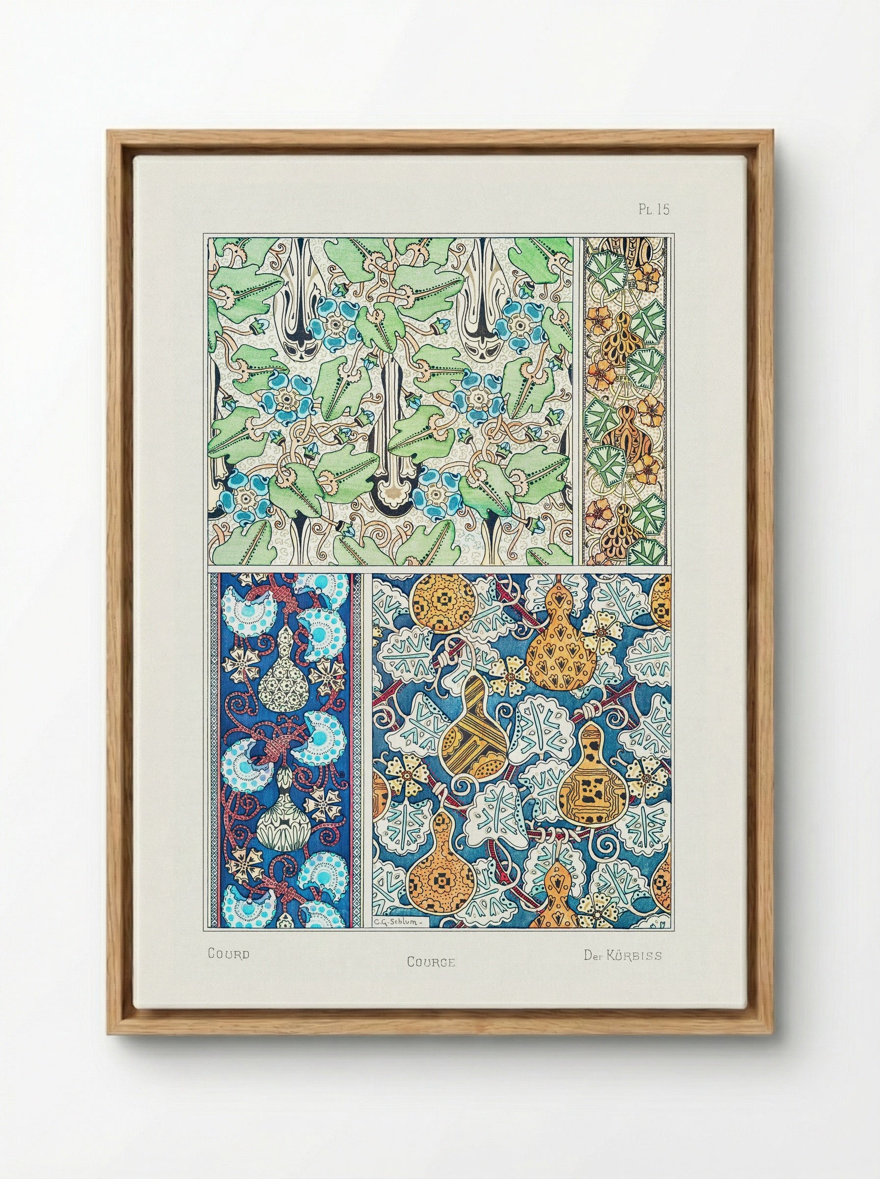 Courge (White-Flowered Gourd) from La Plante et ses Applications ornementales - Maurice Pillard Verneuil - Framed Canvas Wood