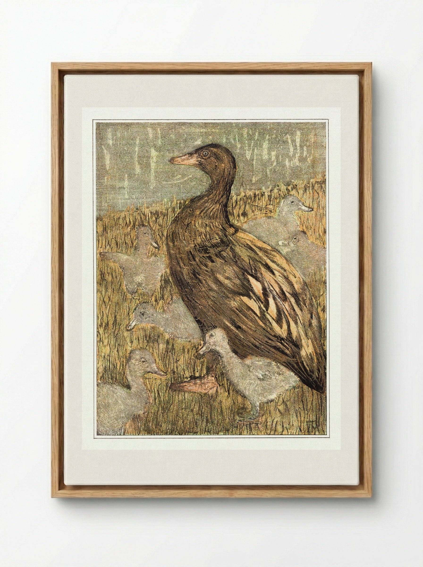 Duck with Ducklings by the Waterside - Theo van Hoytema - Framed Canvas Wood