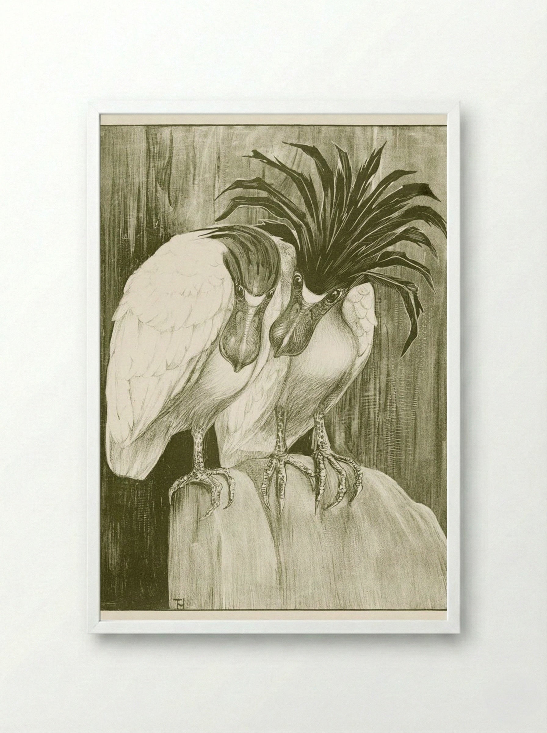 Two Boat-billed Herons - Theo van Hoytema - Framed Print White
