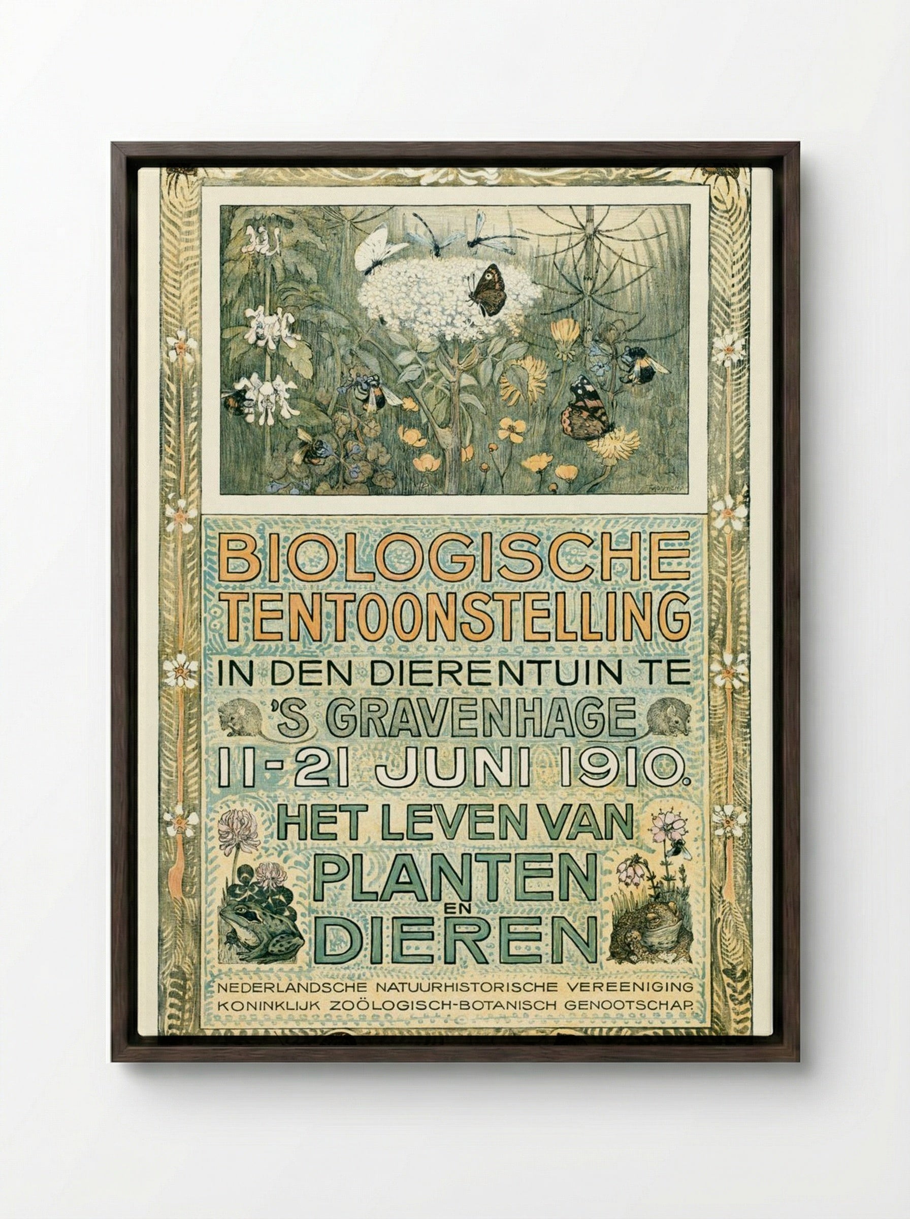 Poster of the Biologische Tentoonstelling (Biological Exhibition) - Theo van Hoytema - Framed Canvas Dark Wood
