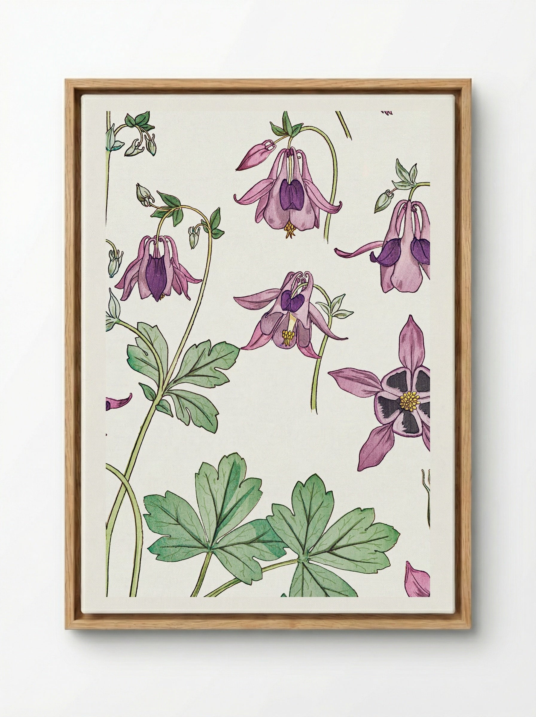 Ancolie (Columbine) - Maurice Pillard Verneuil - Framed Canvas Wood