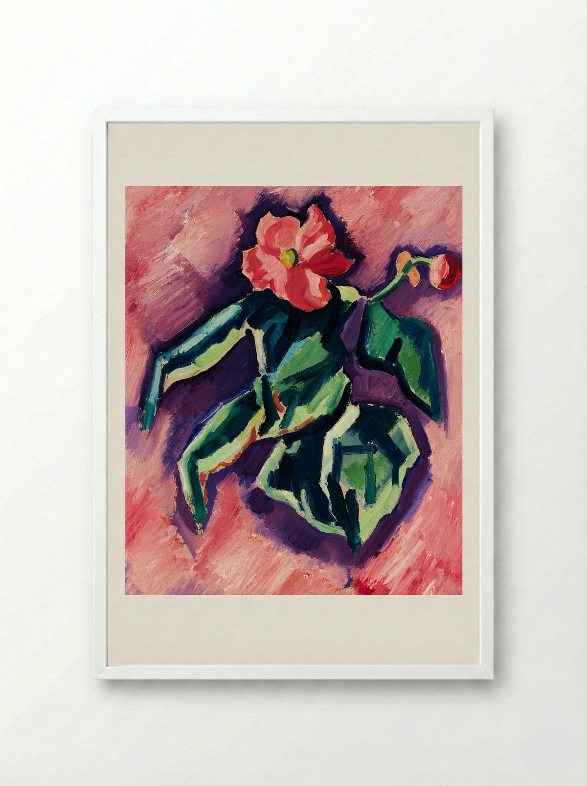 Pink Begonias - Marsden Hartley - Framed Print White