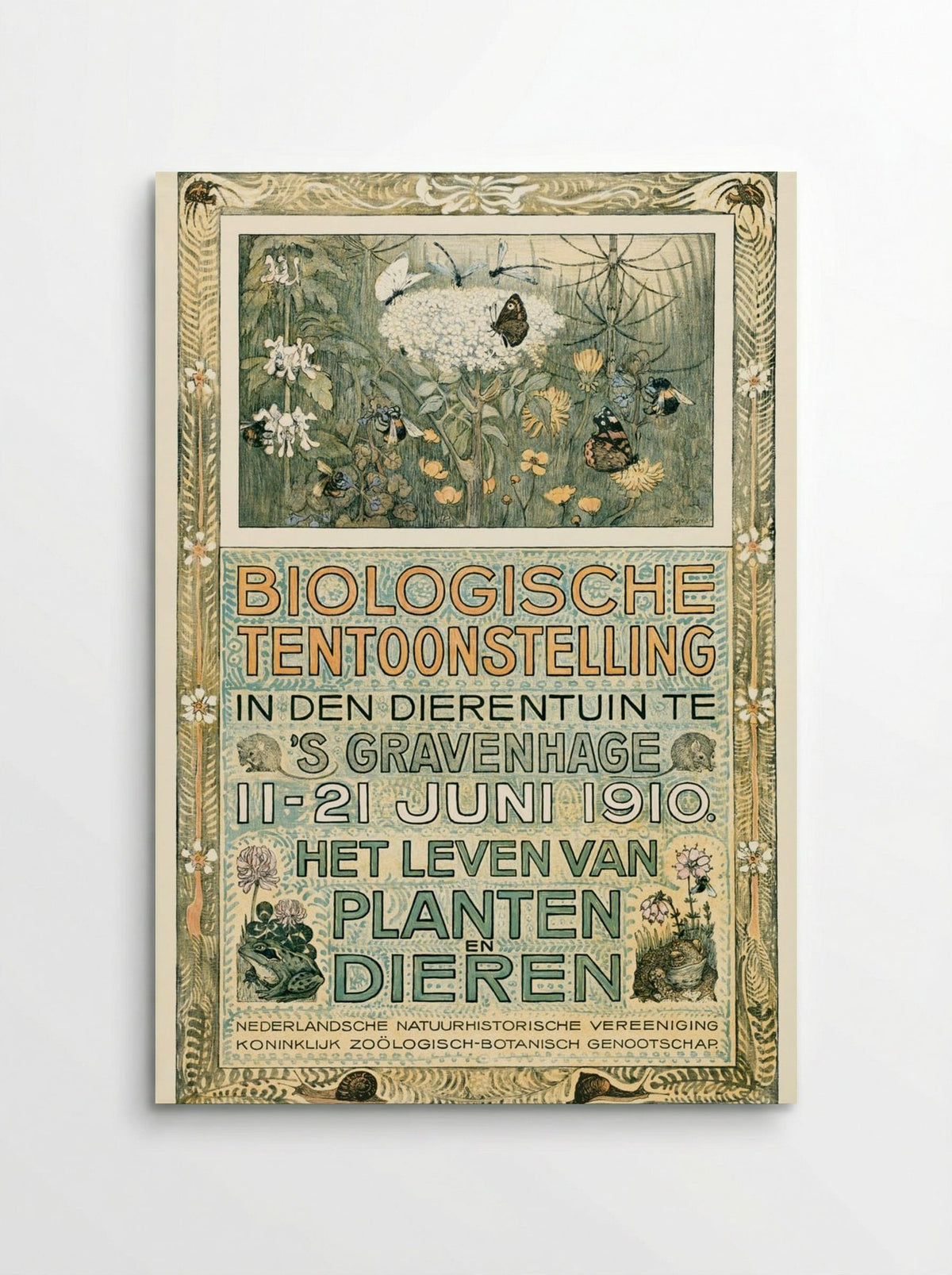 Poster of the Biologische Tentoonstelling (Biological Exhibition) - Theo van Hoytema - Poster