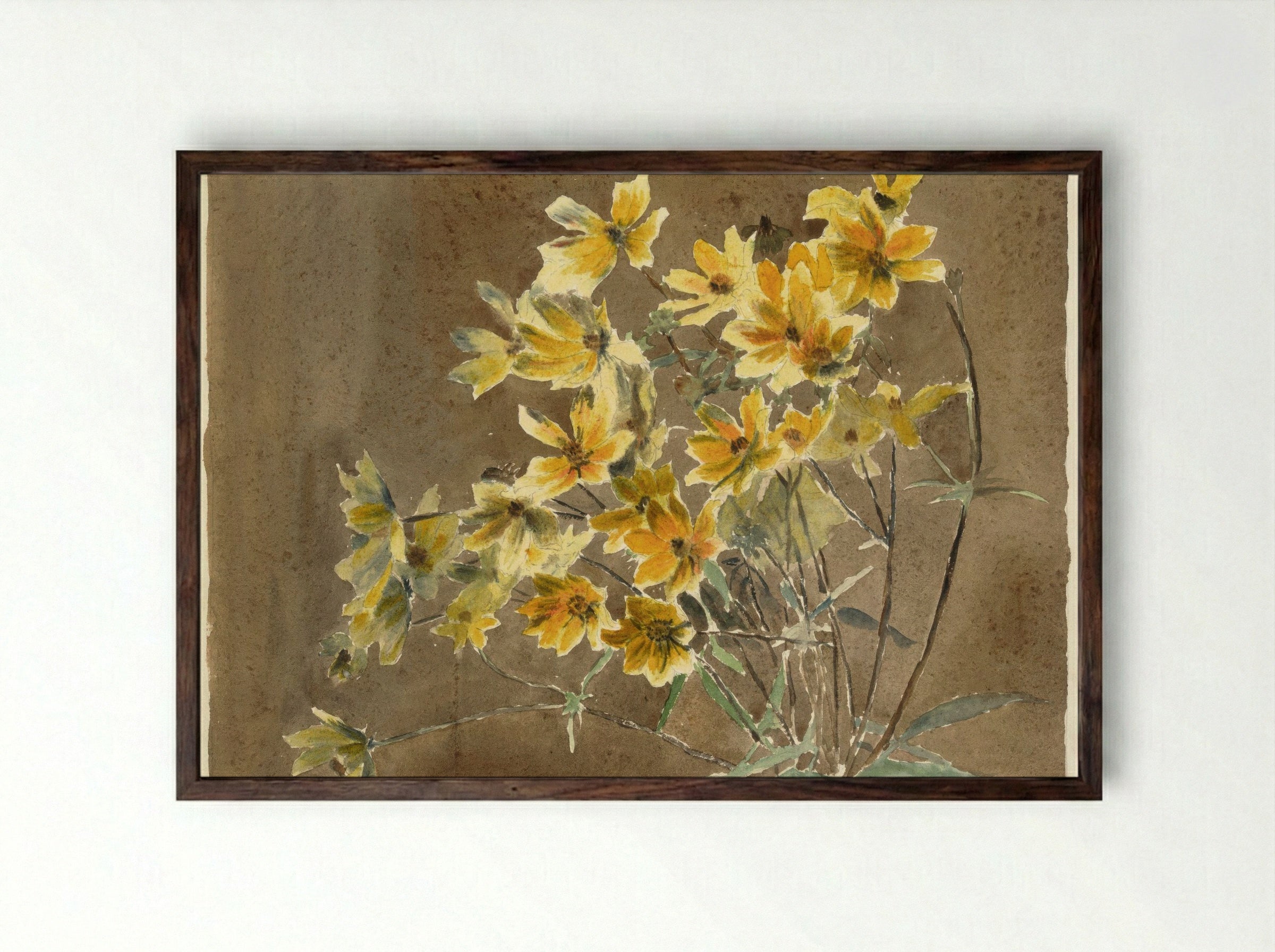 Yellow Flower with Border (1915) - Hannah Borger Overbeck - Framed Print Dark Wood