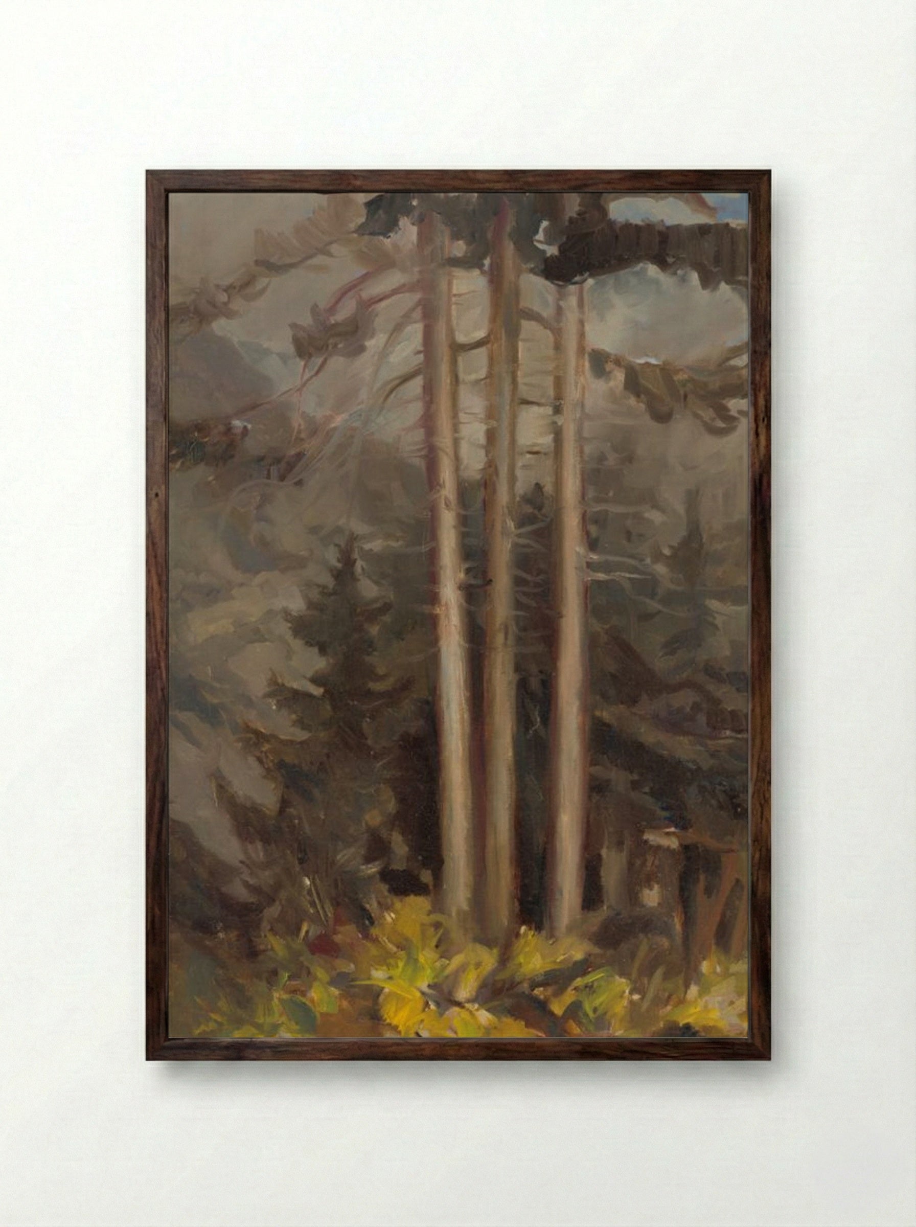 Spruce - Zolo Palugyay - Framed Print Dark Wood