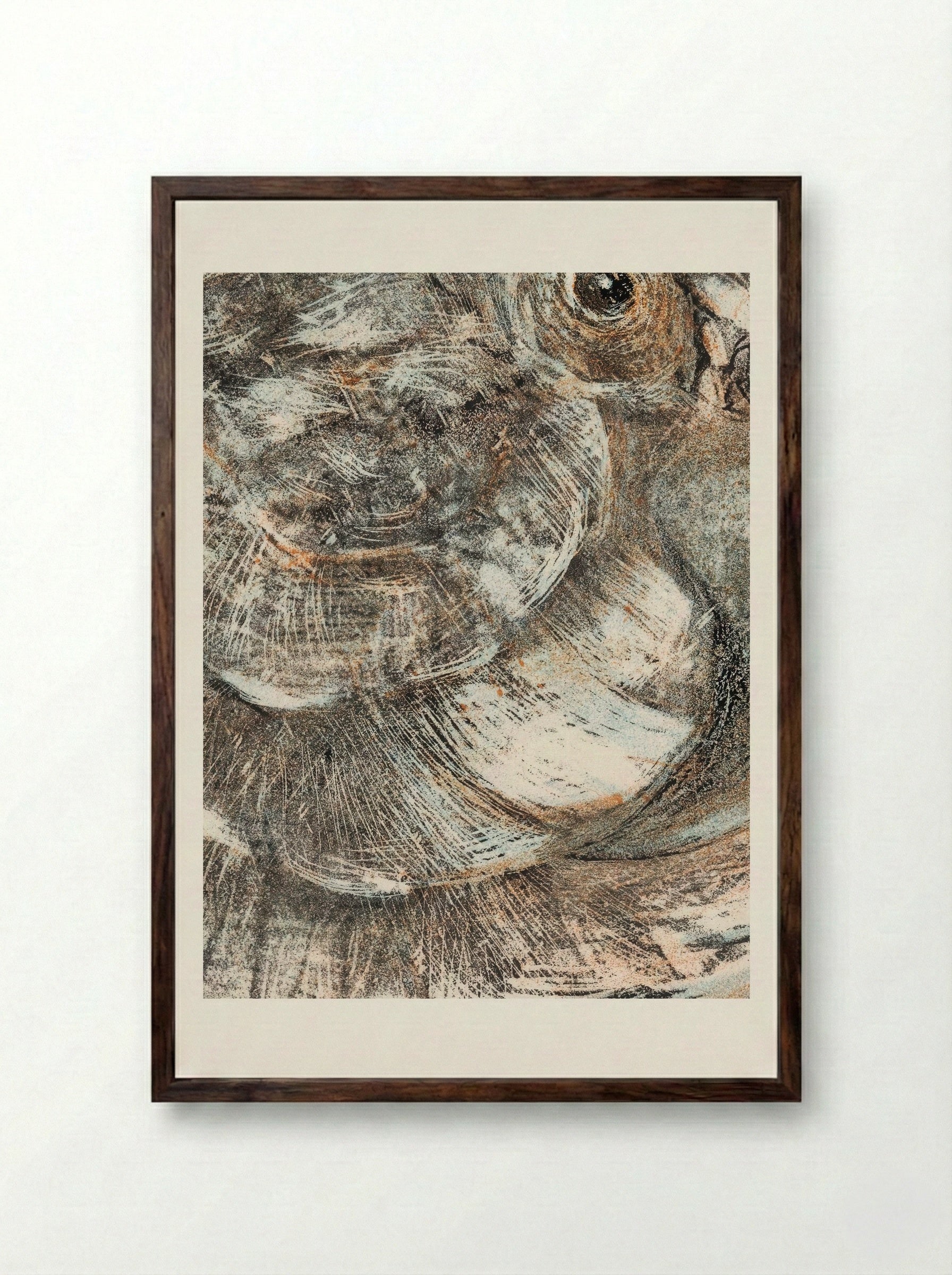 Head of a Parrot - Theo van Hoytema - Framed Print Dark Wood