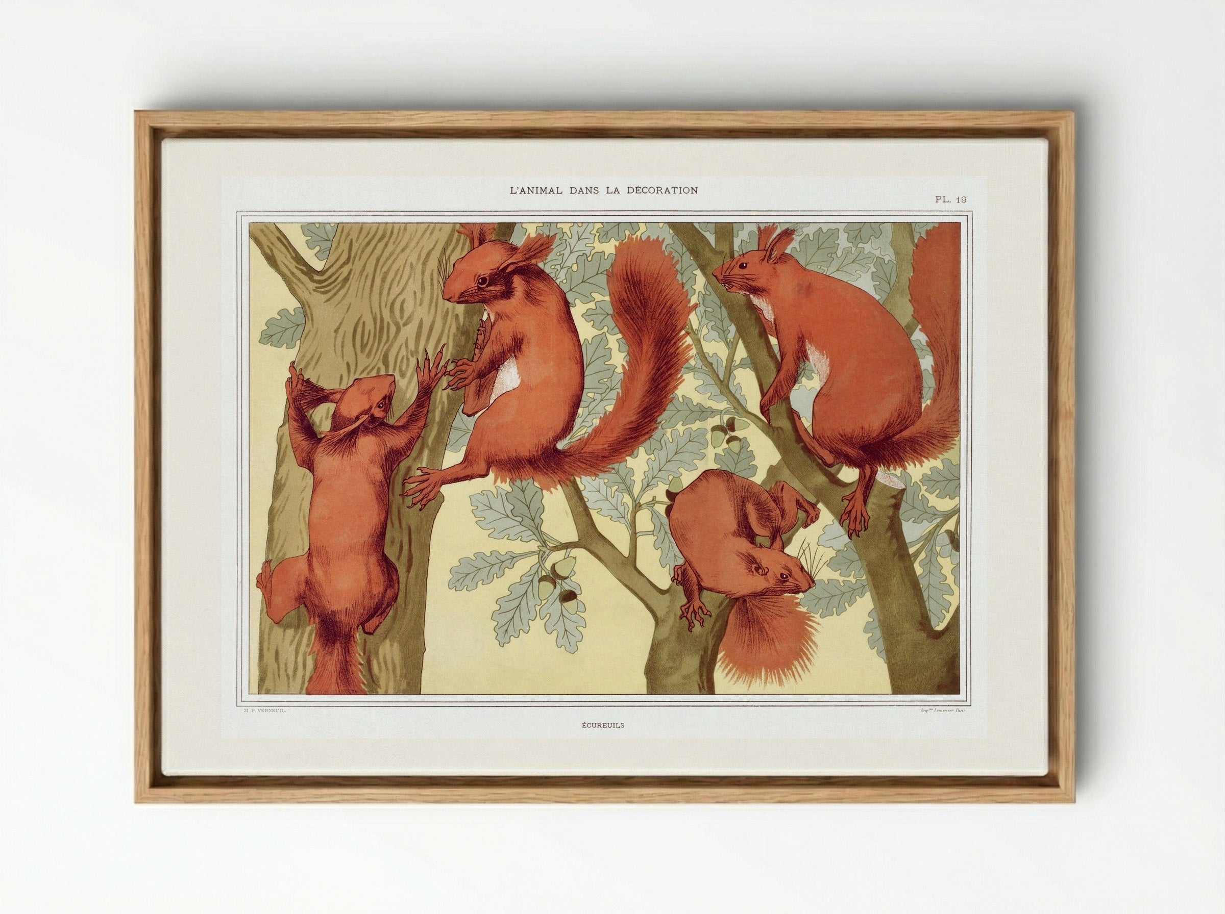 Écureuils (Squirrels) from L'animal dans la décoration - Maurice Pillard Verneuil - Framed Canvas Wood