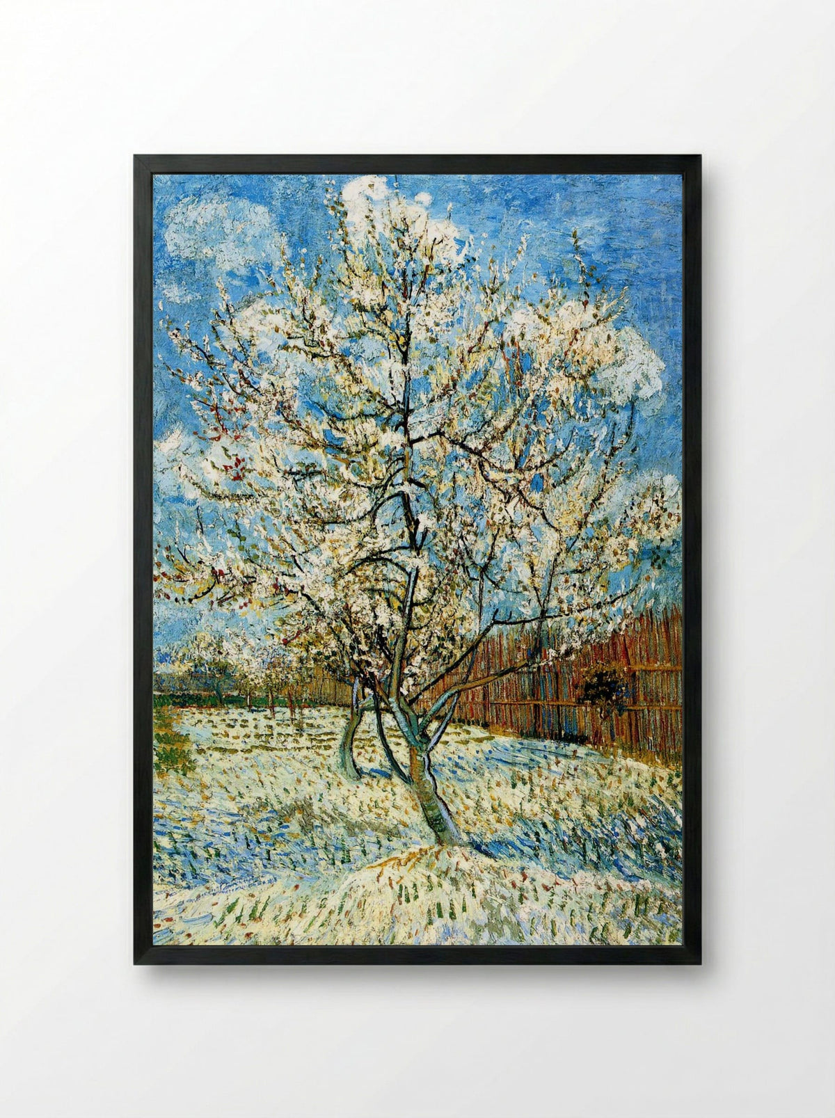 Peach Trees in Blossom - Vincent van Gogh - Framed Print Black