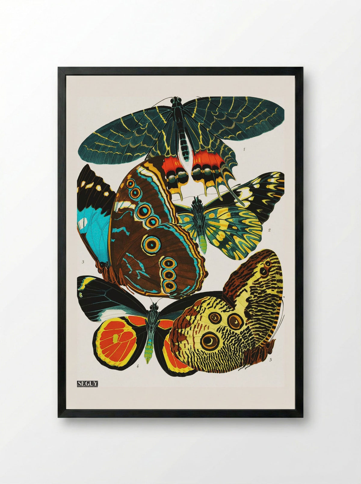 Butterflies (Plate 2) - Eugène Alain Séguy - Framed Print Black