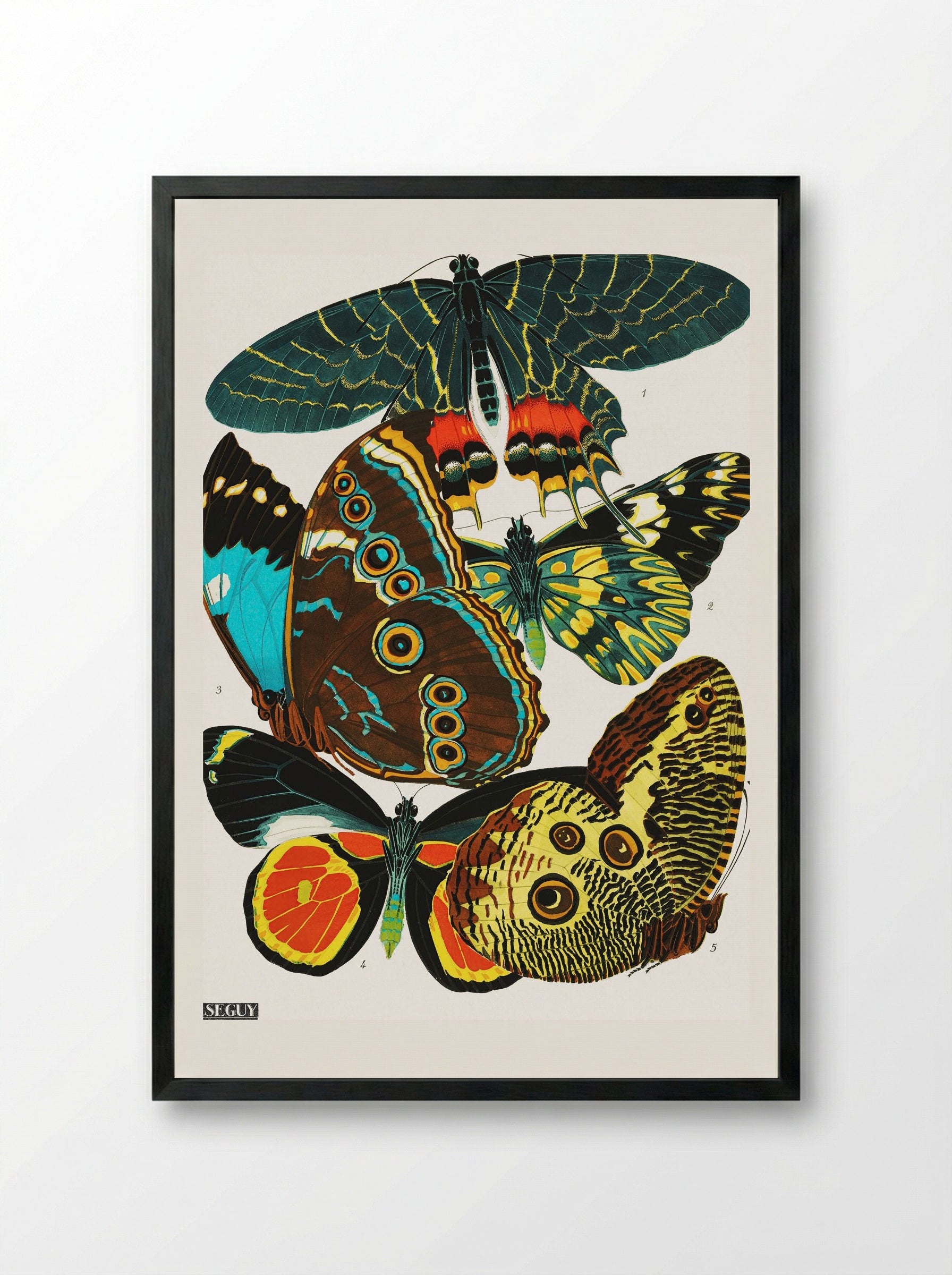 Butterflies (Plate 2) - Eugène Alain Séguy - Framed Print Black