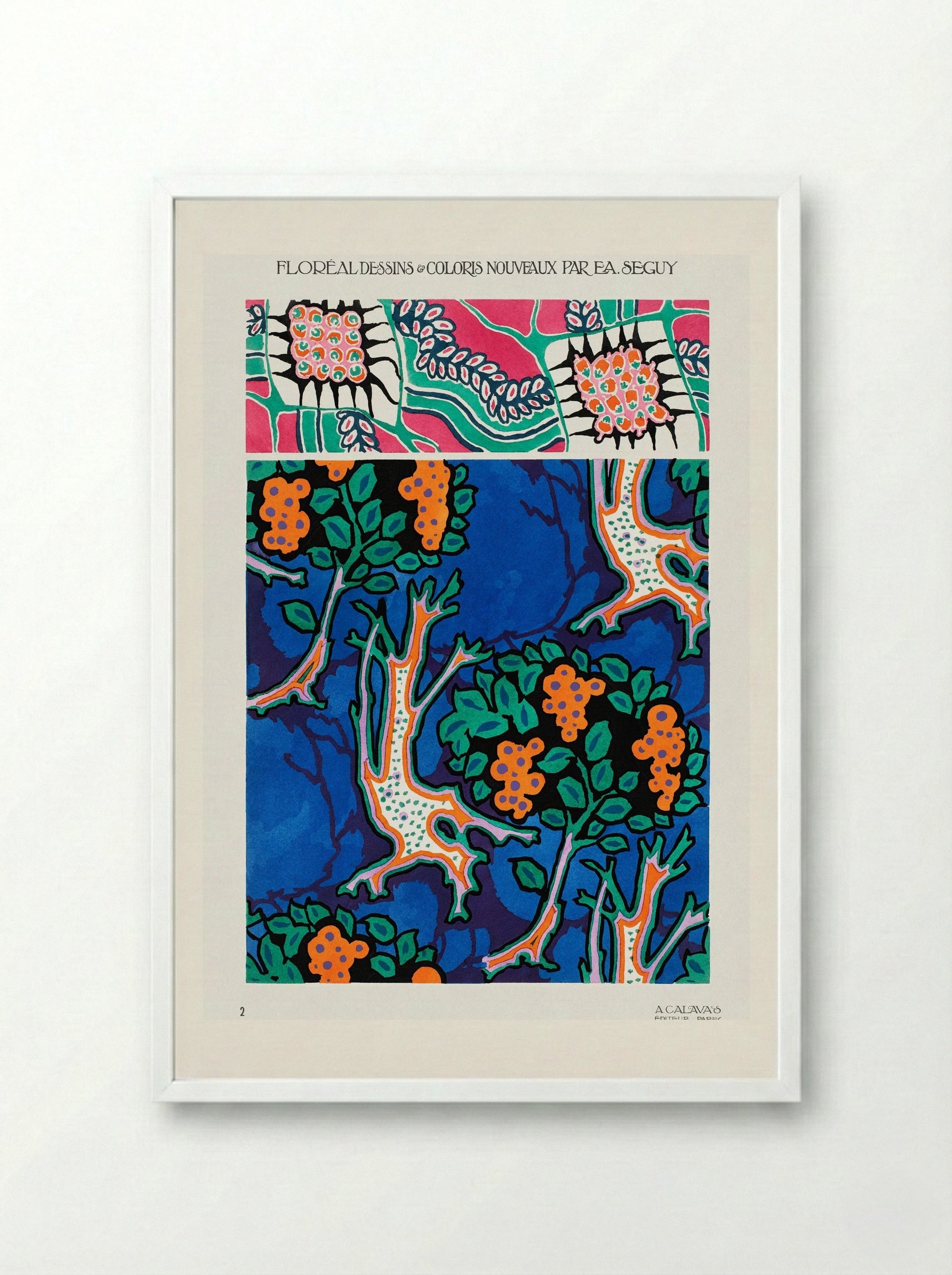 Floral Designs and Colour Schemes (Plate 4) - Émile-Allain Séguy - Framed Print White