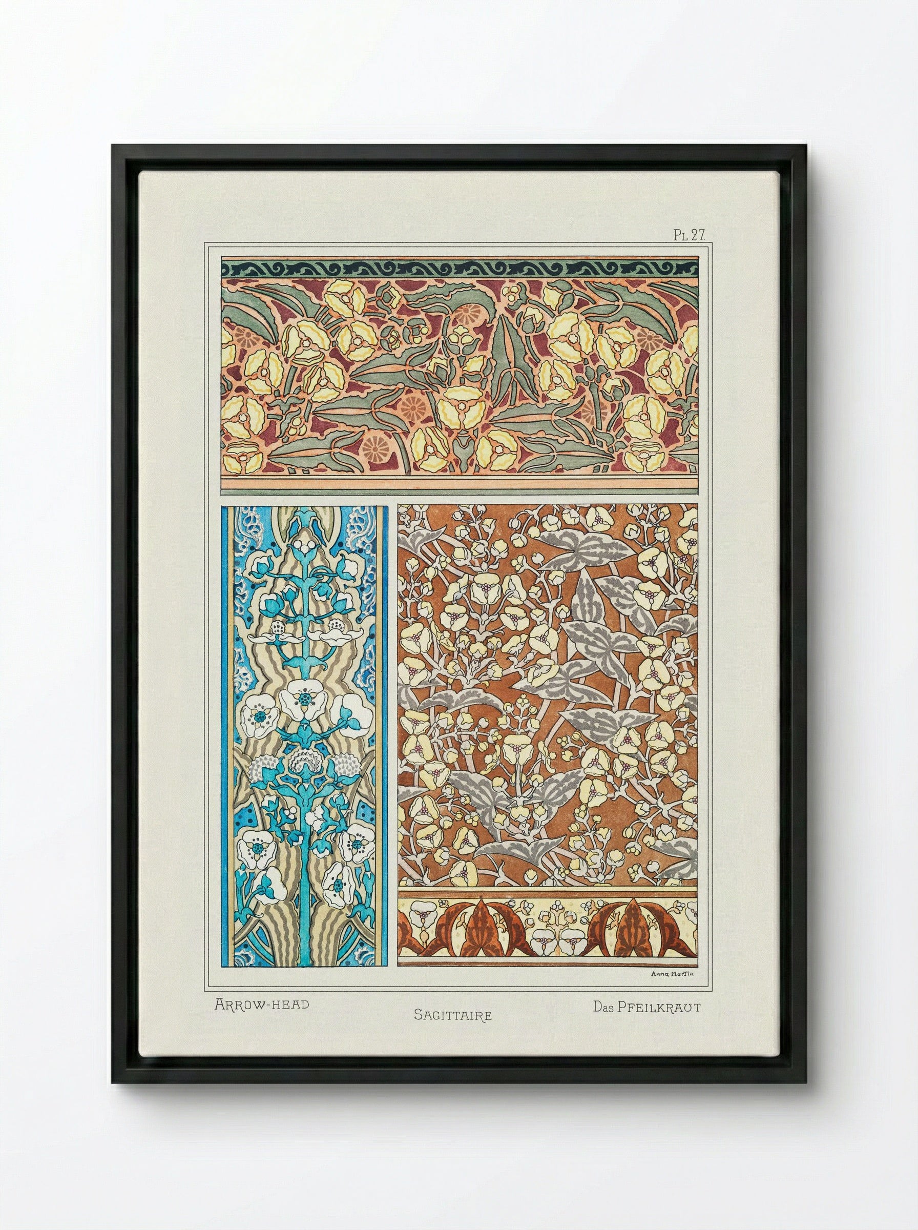 Sagittaire (Arrowhead) from La Plante et ses Applications ornementales - Maurice Pillard Verneuil - Framed Canvas Black