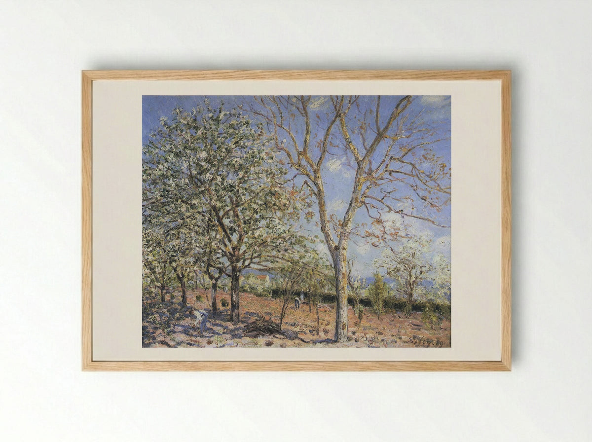 Trees in Bloom - Camille Pissarro - Framed Print Wood