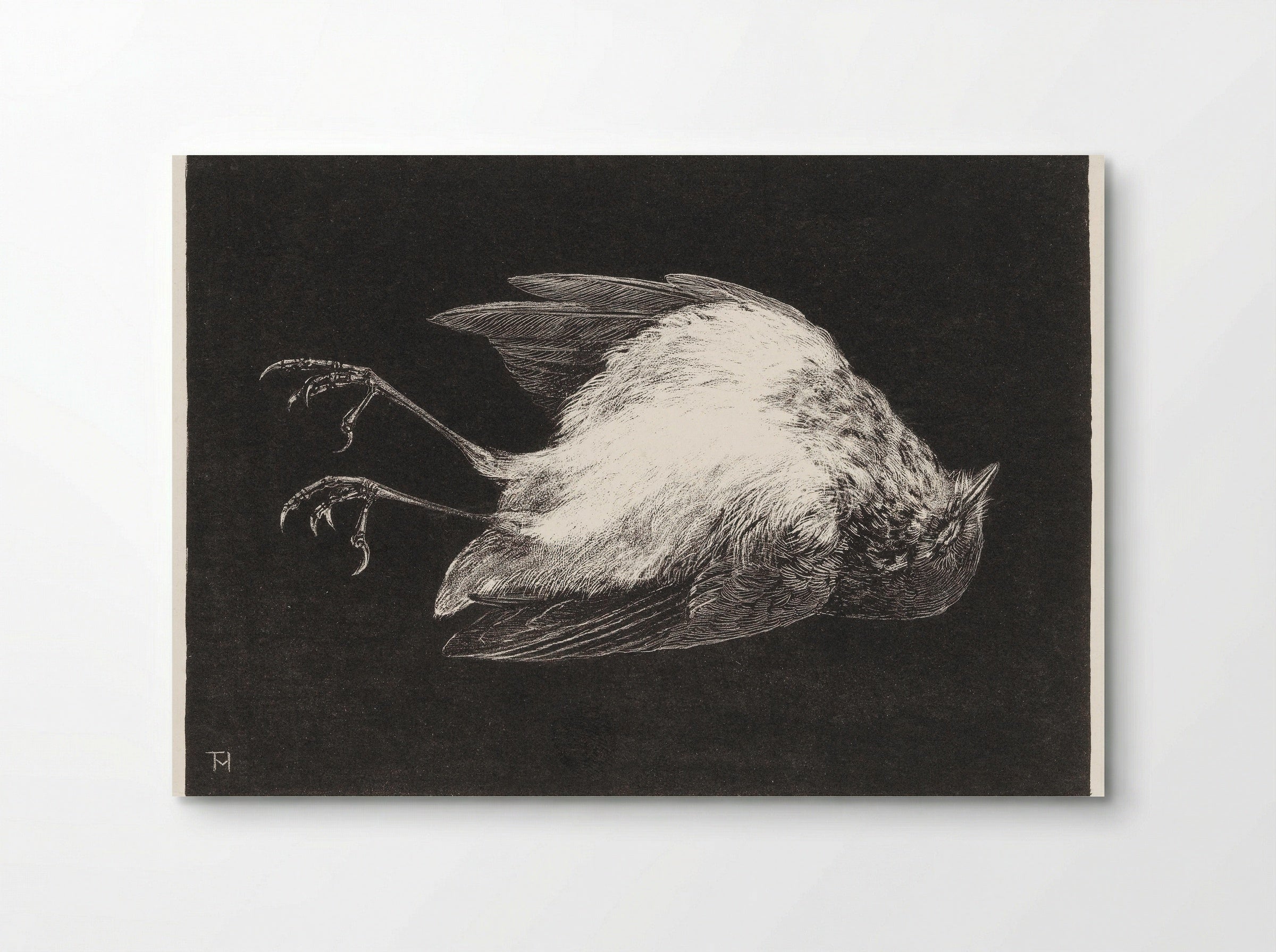 Dood Roodborstje (Dead Robin) - Theo van Hoytema - Poster
