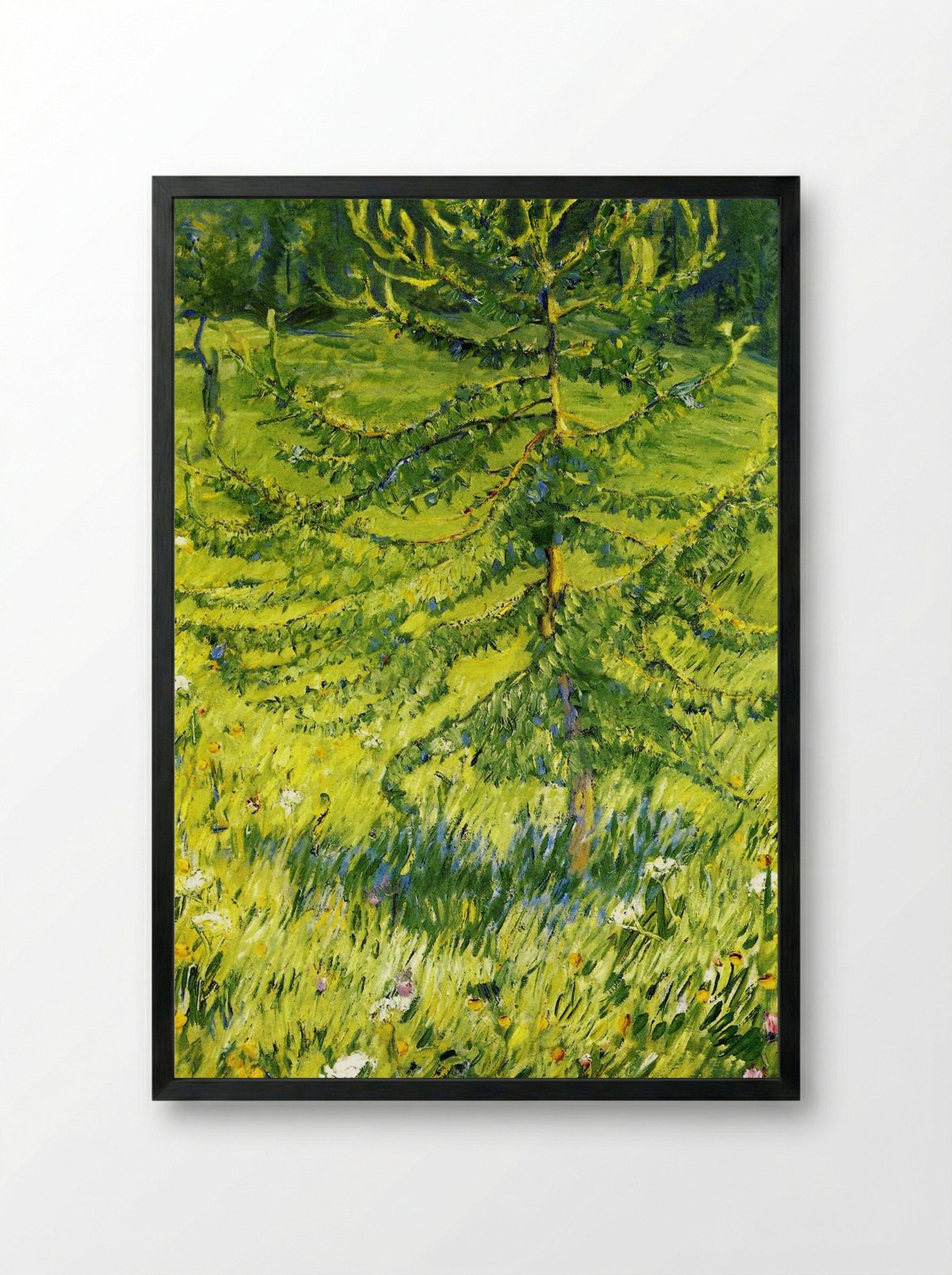 Larch Sapling - Konstantin Korovin - Framed Print Black