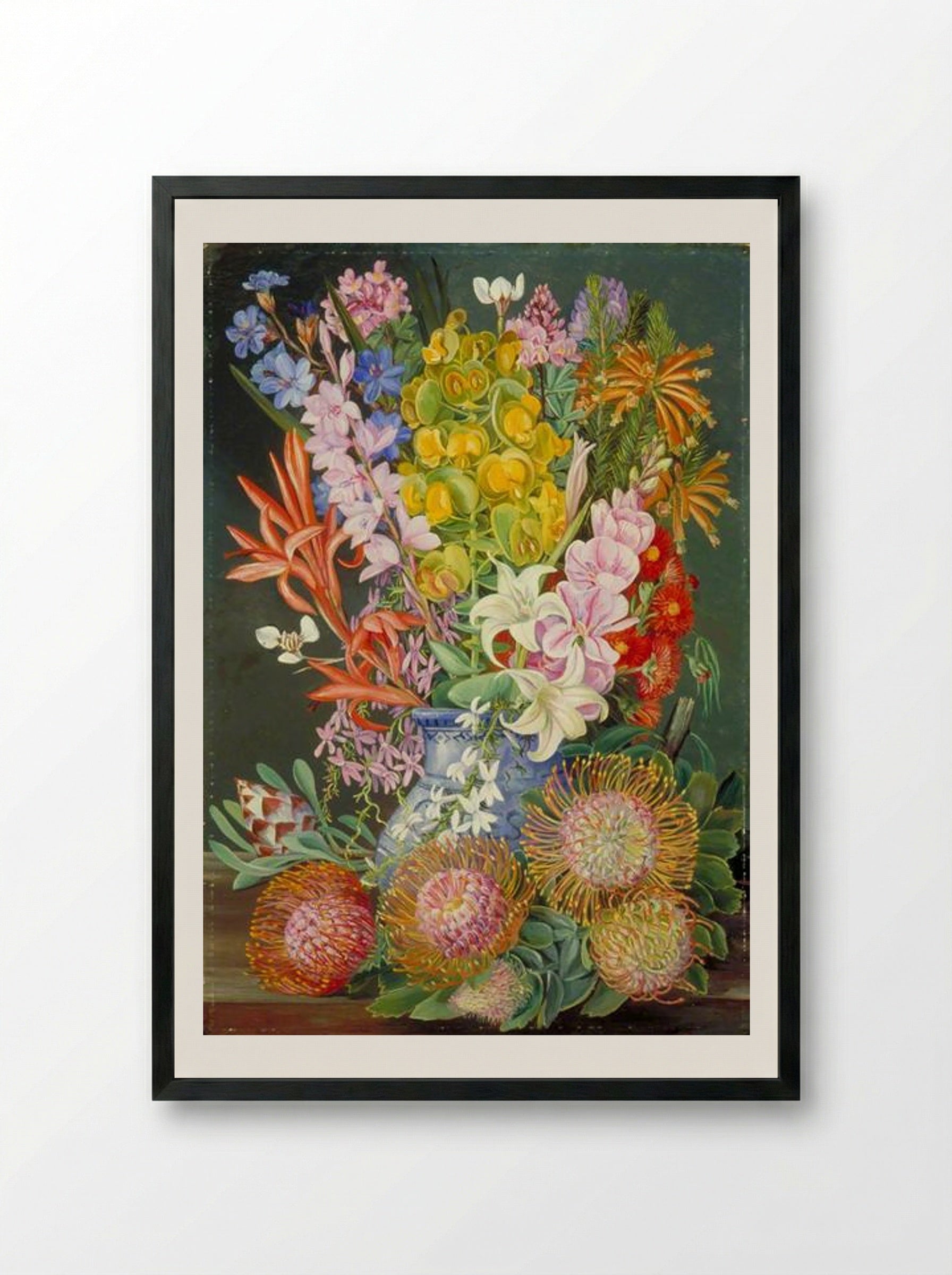 Wild Flowers of Ceres, South Africa - Marianne North - Framed Print Black