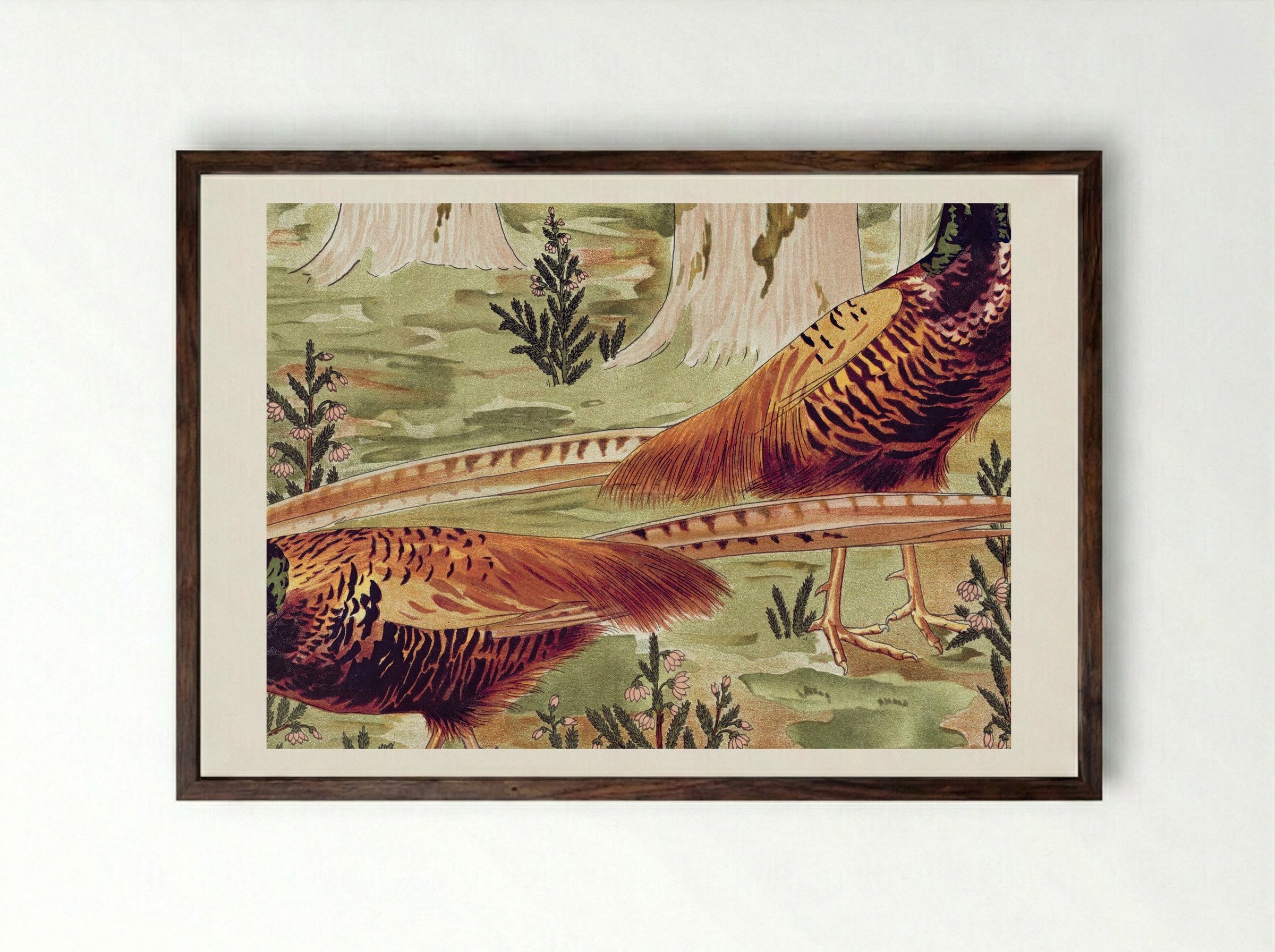 Faisans Ordinaires (Common Pheasants) - Maurice Pillard Verneuil - Framed Print Dark Wood