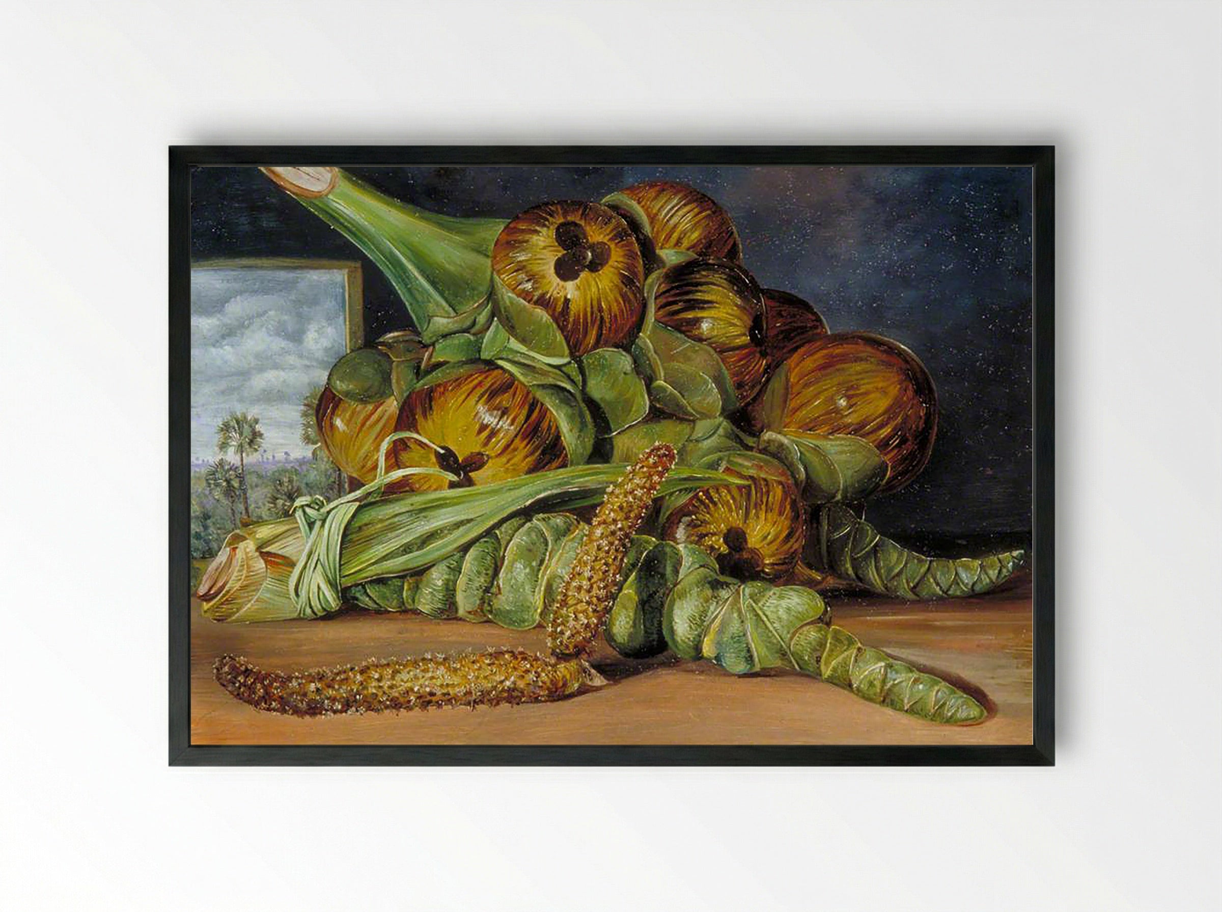 Flowers and Fruit of the Palmyra, and the Palm Seen through a Window, Java - Fine Art Print - Framed Print Black