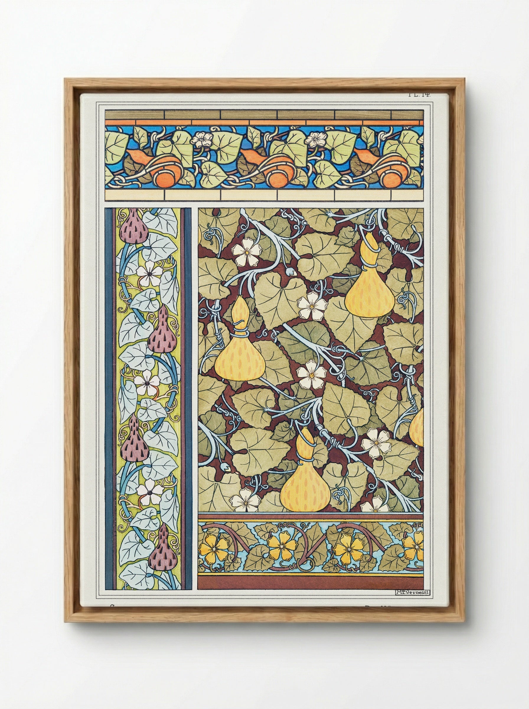 Courge (White-Flowered Gourd, Plate 14) - Maurice Pillard Verneuil - Framed Canvas Wood