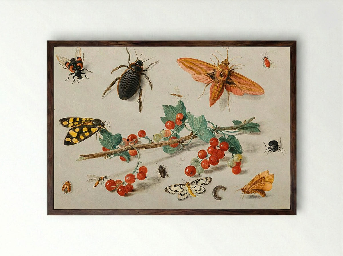 A sprig of redcurrants with an elephant hawk moth, a ladybird, a millipede and other insects - Jan van Kessel the Elder - Framed Print Dark Wood