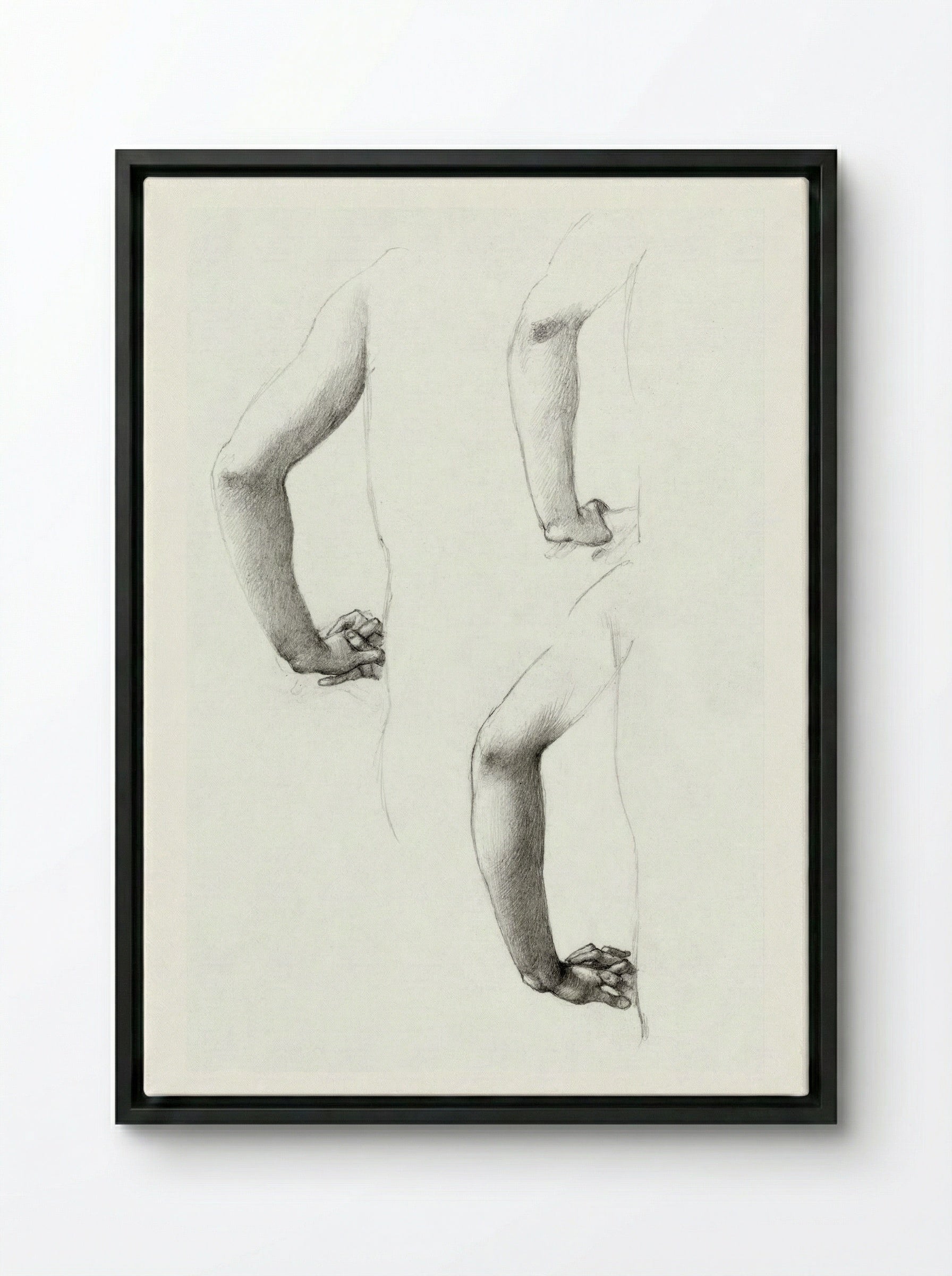 Studies of an Arm and Hands - Edward Burne-Jones - Framed Canvas Black
