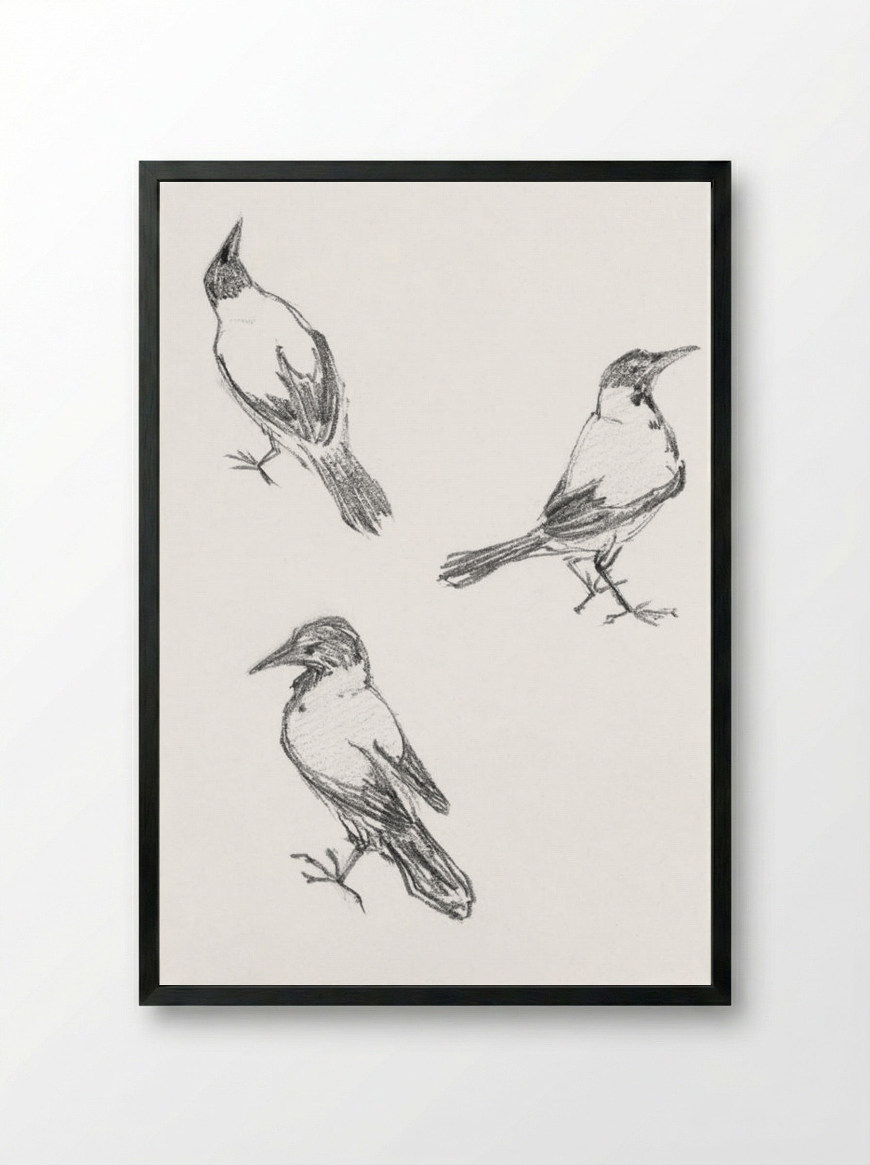 Three Sketches of a Crow - Julie de Graag - Framed Print Black