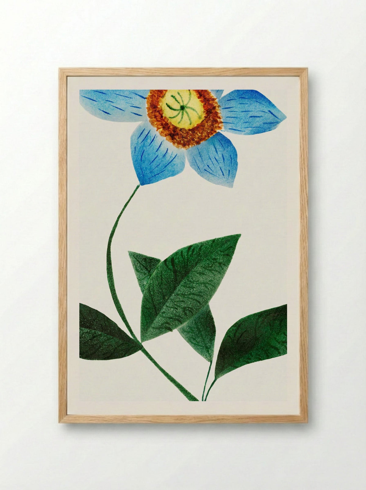 Star Flower - Mary Altha Nims - Framed Print Wood