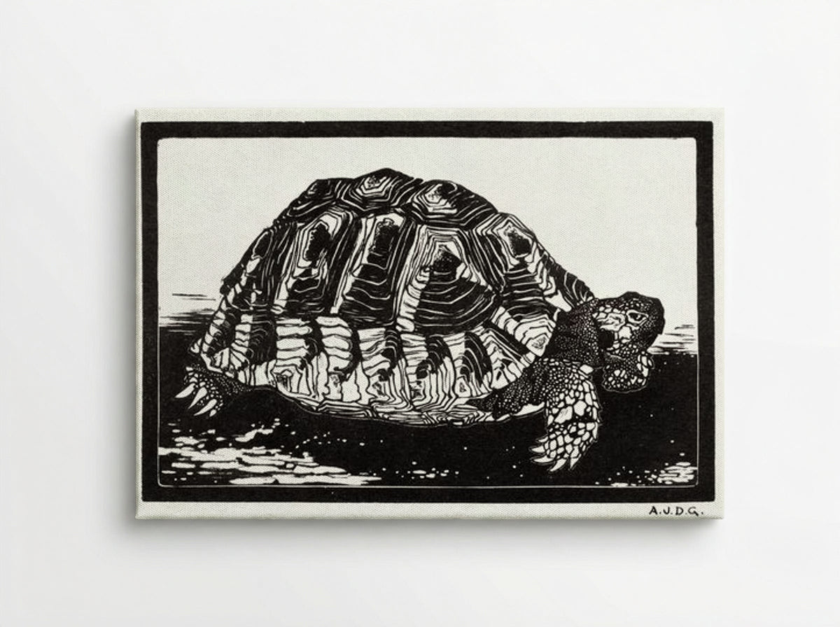 Turtle - Julie de Graag - Canvas