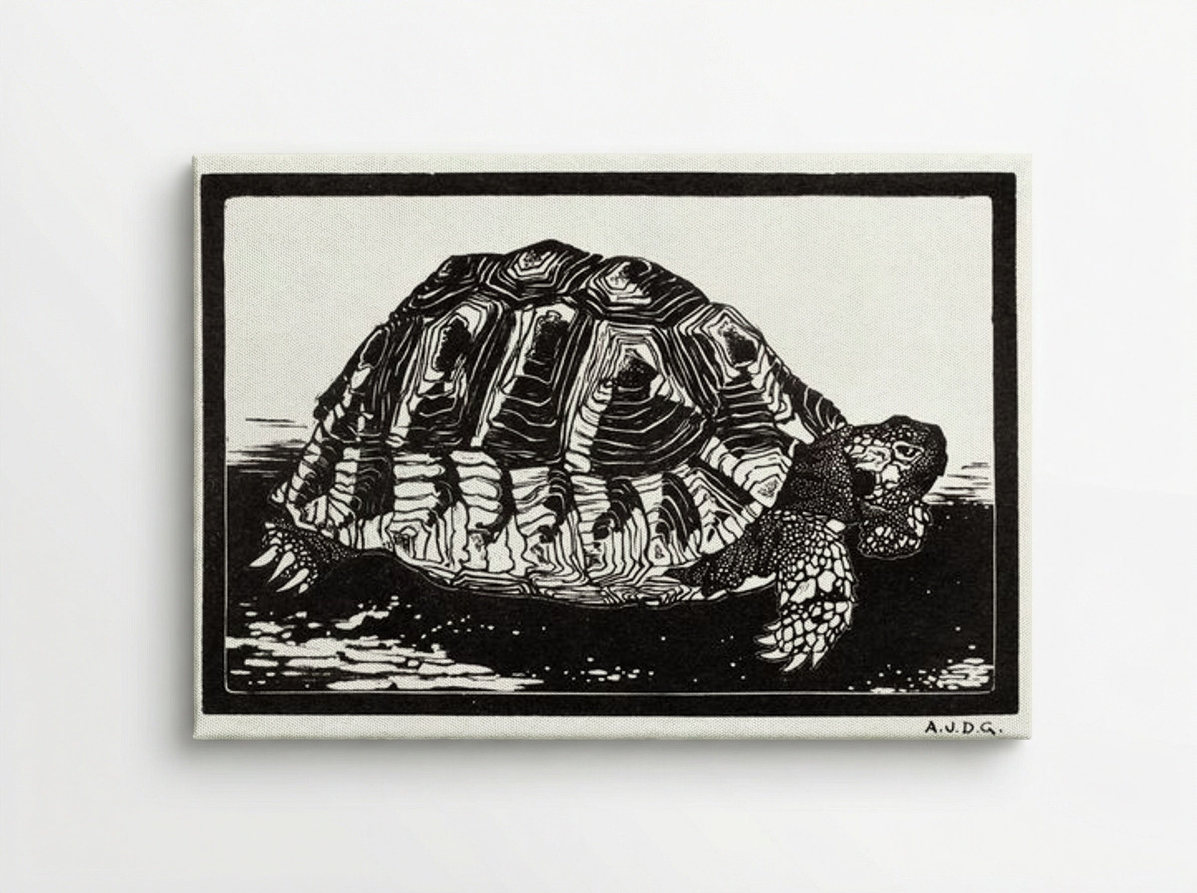Turtle - Julie de Graag - Canvas