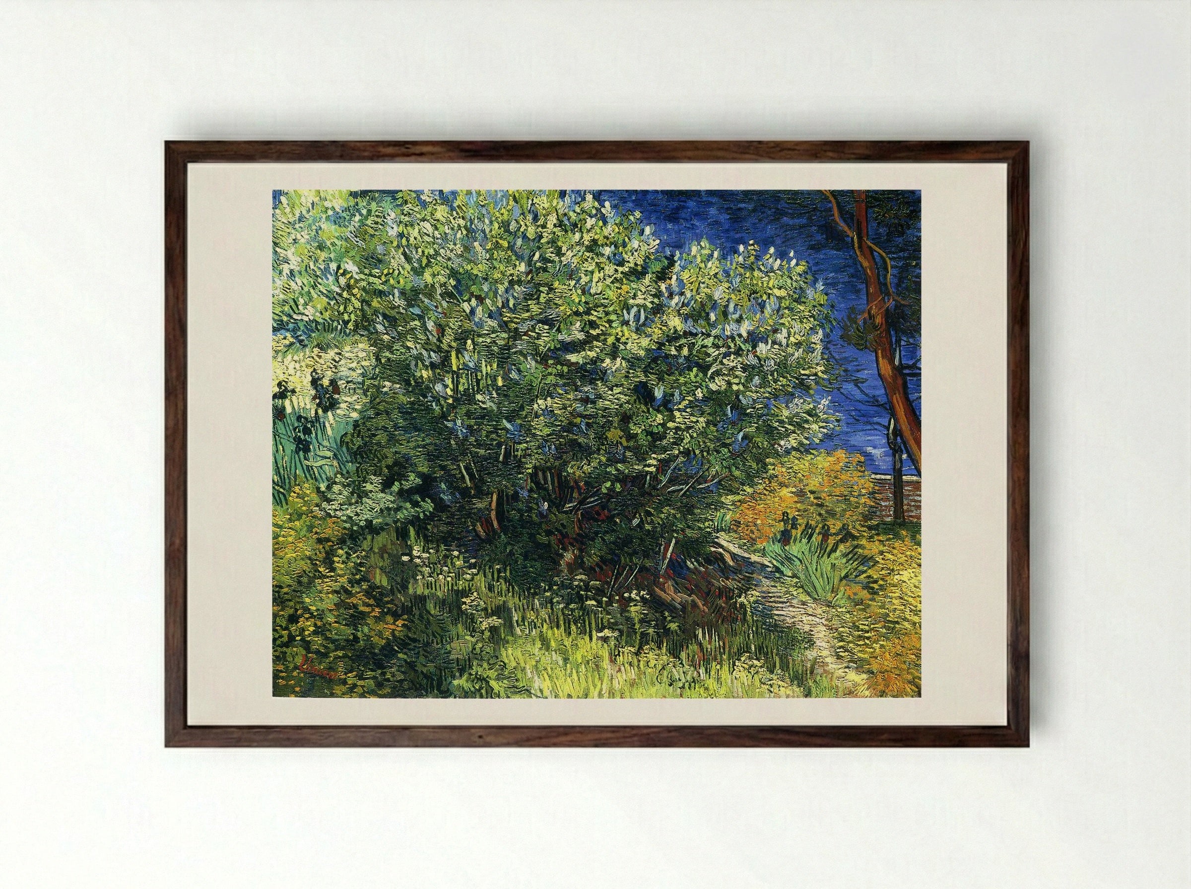 Lilac Bush - Vincent van Gogh - Framed Print Dark Wood