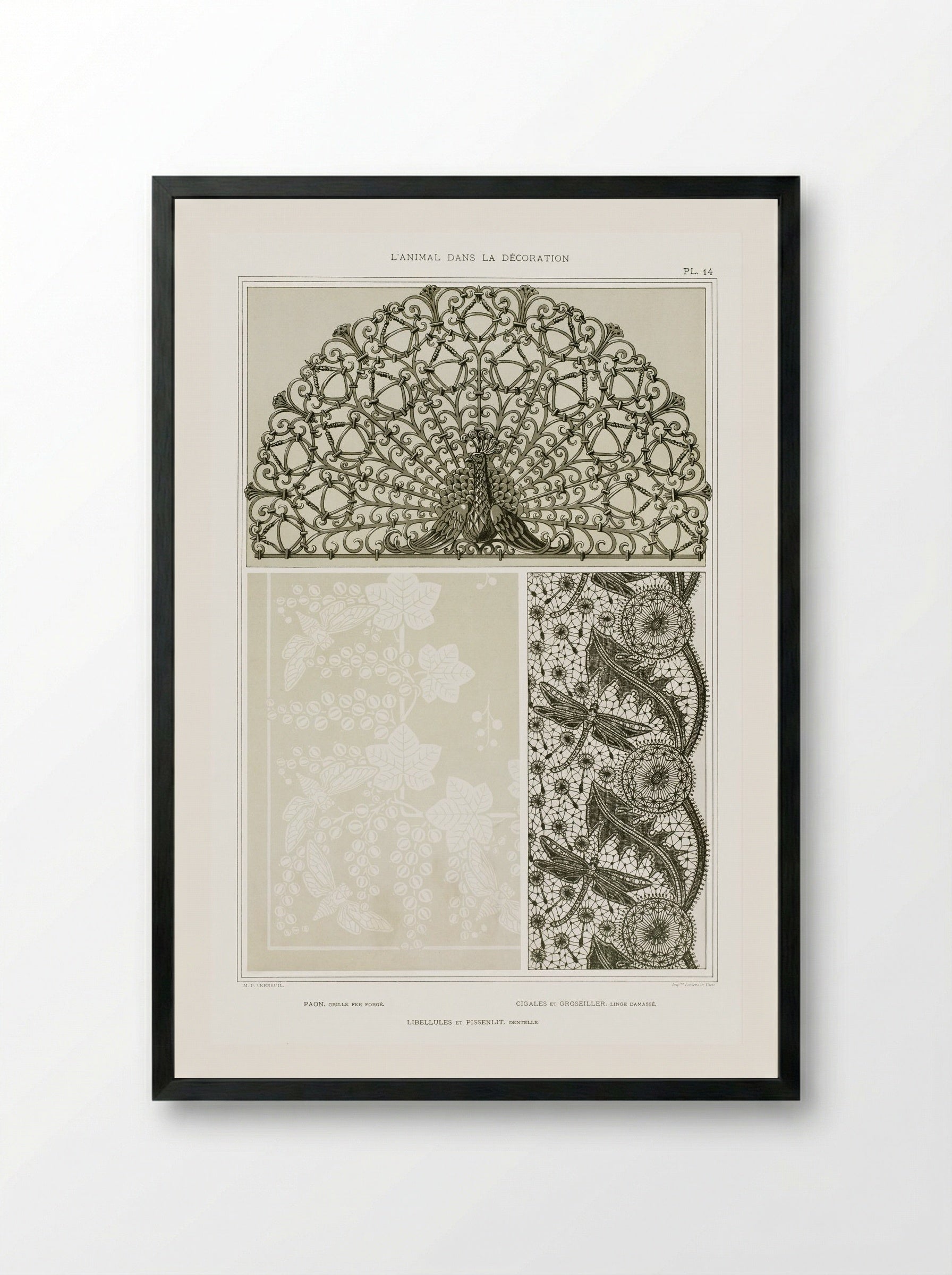 L'Animal dans la Décoration, Plate 14 (Peacock, Cicadas, Dragonflies) - Maurice Pillard Verneuil - Framed Print Black