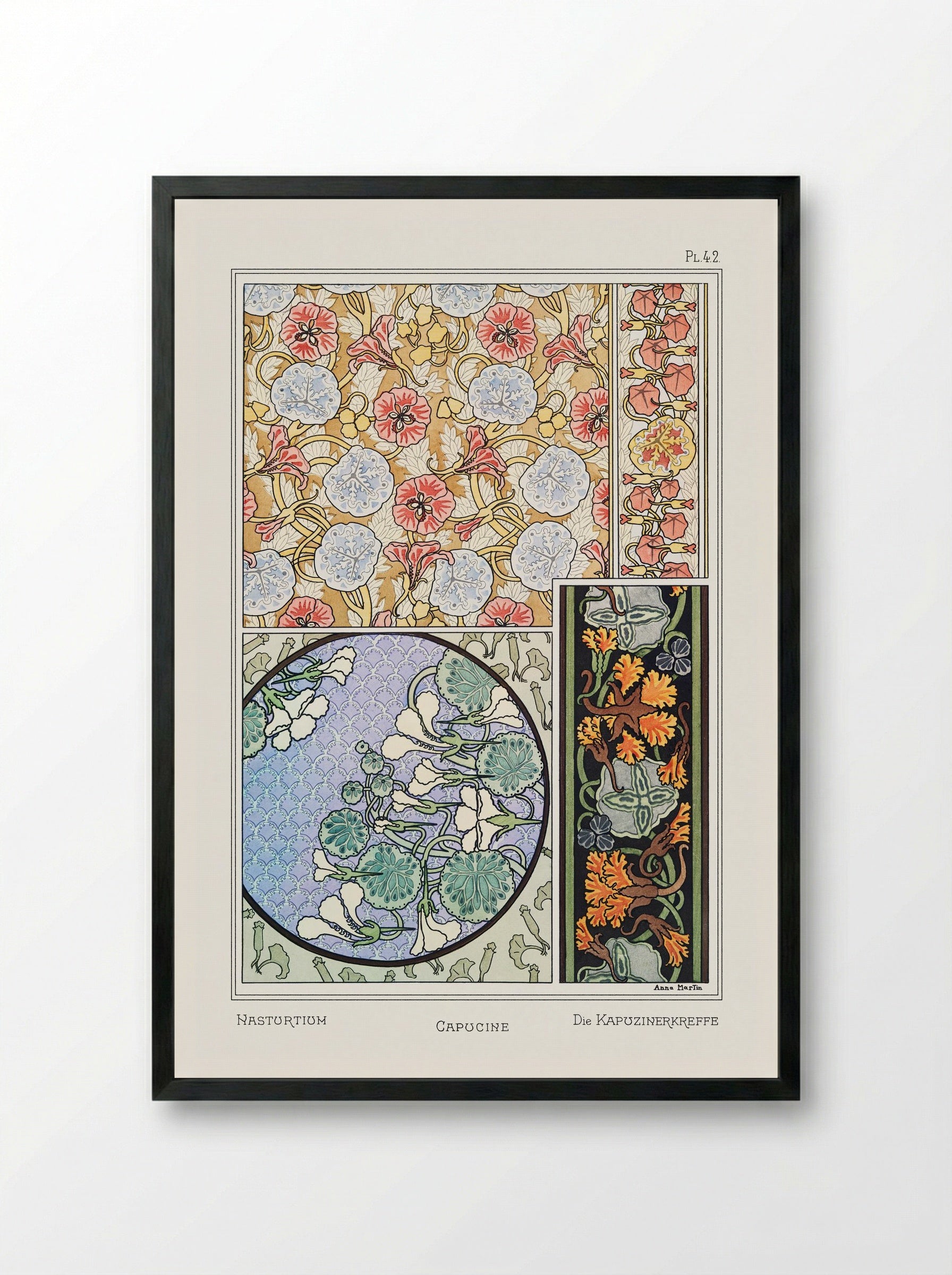 Capucine (Nasturtium) from La Plante et ses Applications ornementales - Maurice Pillard Verneuil - Framed Print Black