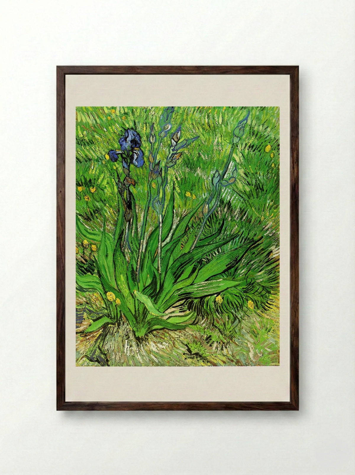 Irises - Vincent van Gogh - Framed Print Dark Wood