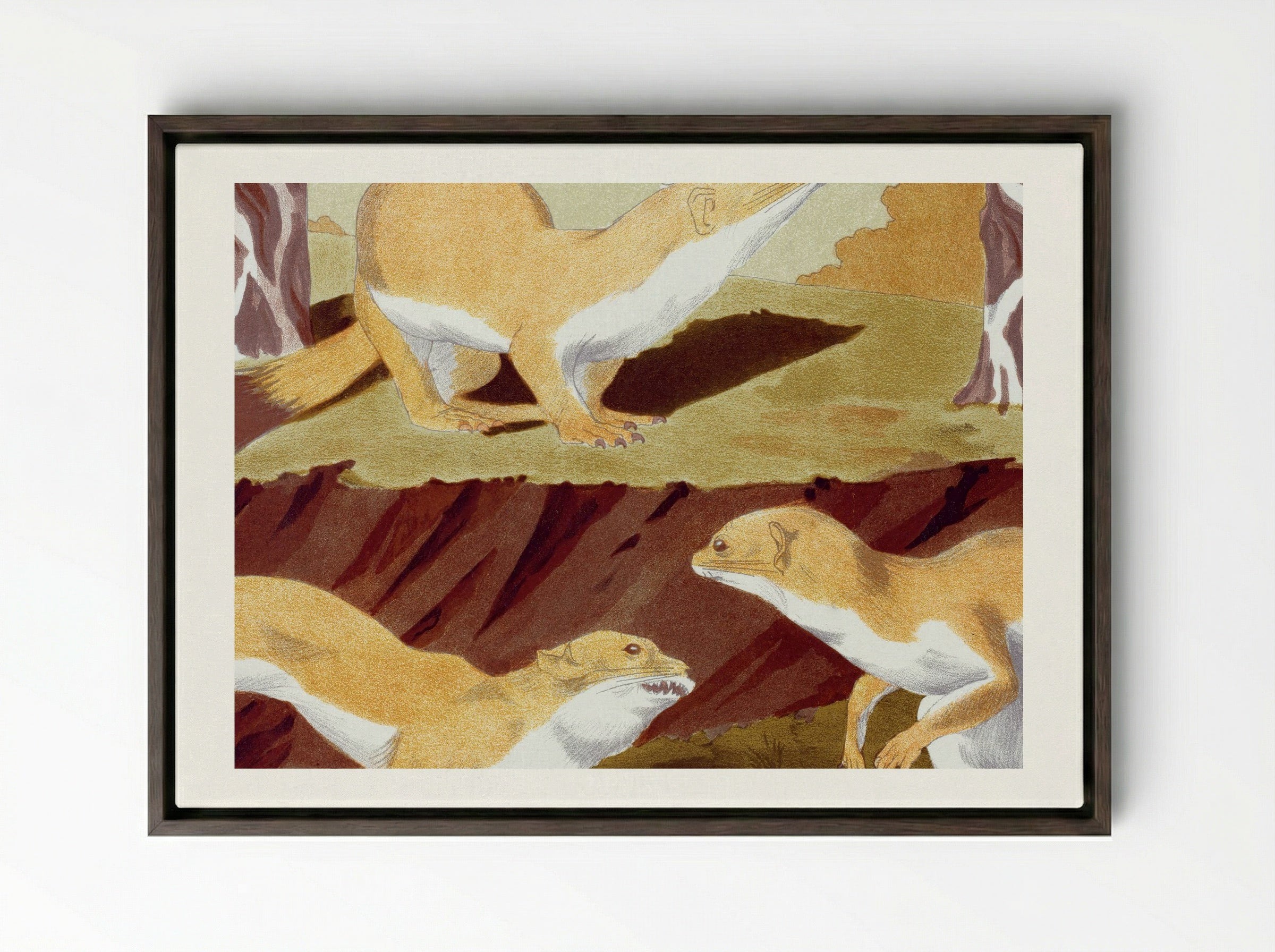 Hermines Vulgaires (Common Stoats) - Maurice Pillard Verneuil - Framed Canvas Dark Wood
