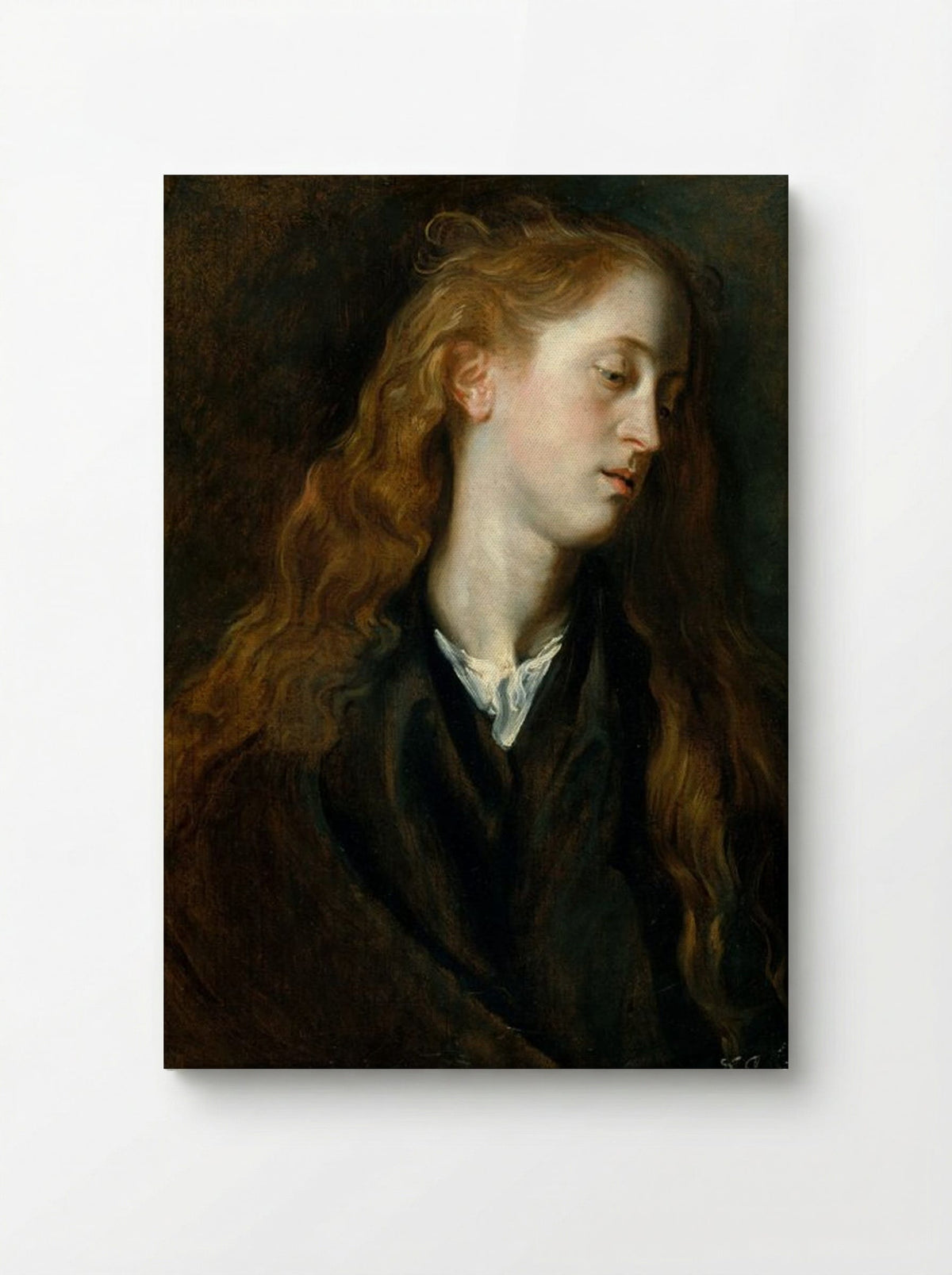 Study, Head of a Young Woman - Anthony van Dyck - Canvas