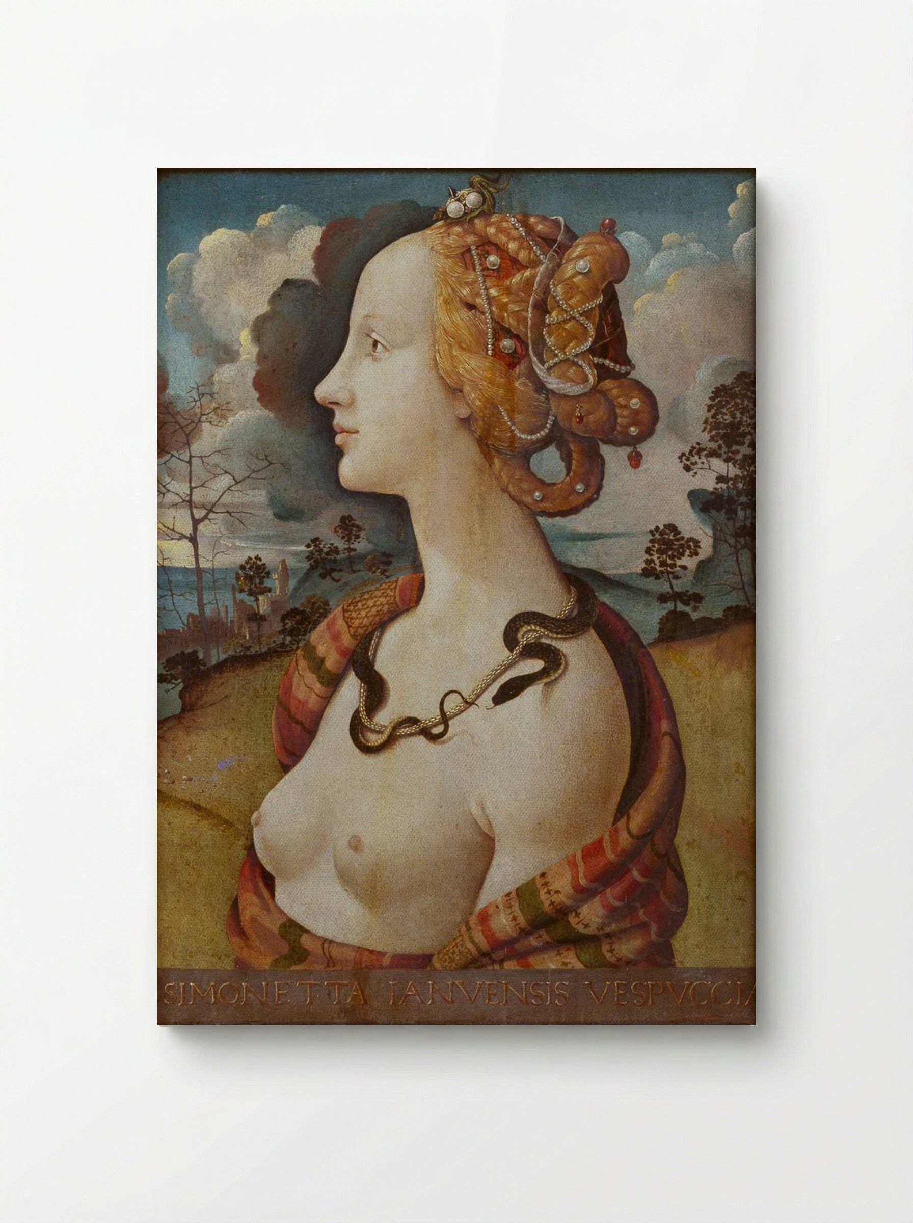 Portrait of Simonetta Vespucci - Piero di Cosimo - Canvas