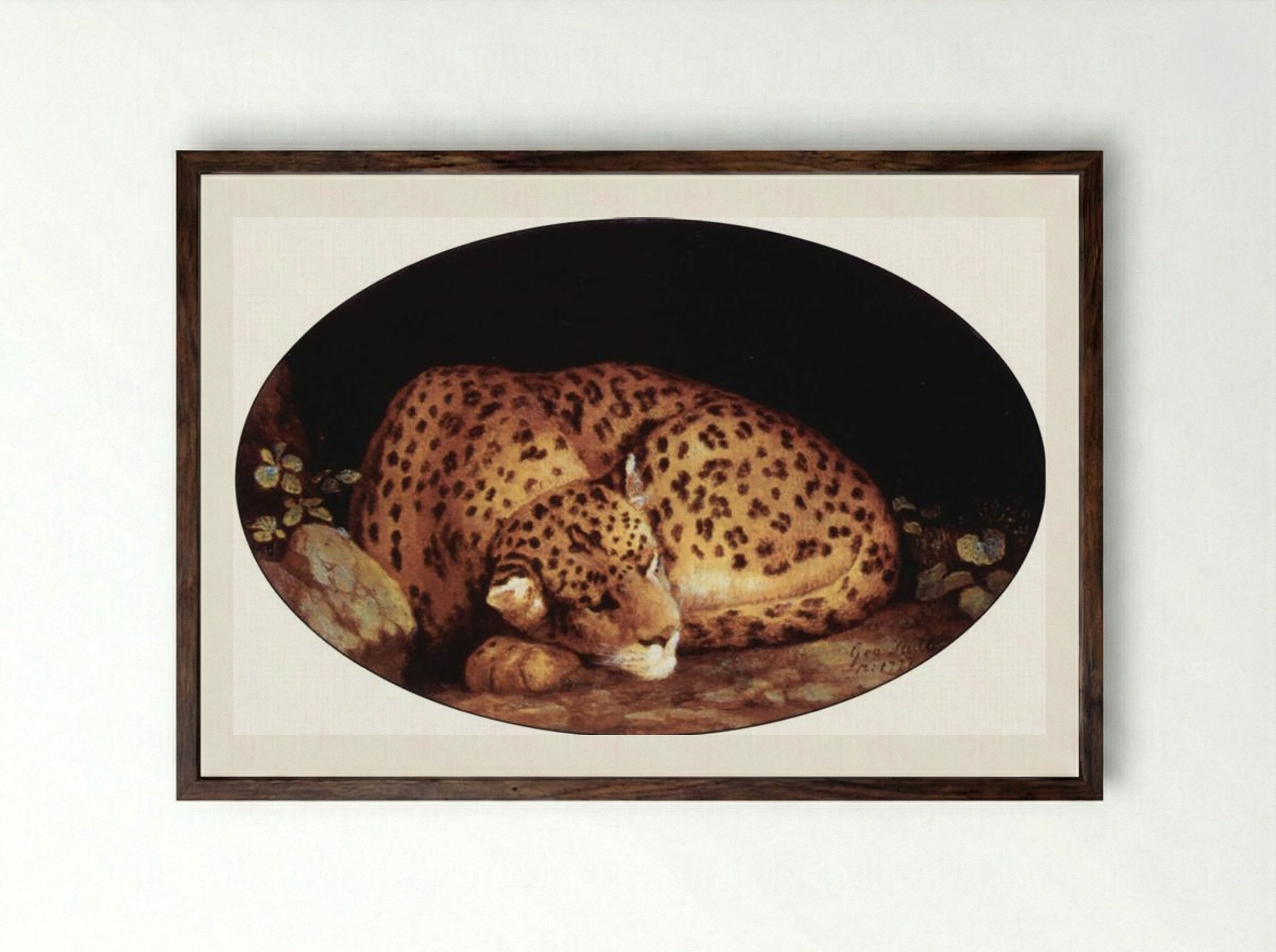 Sleeping Leopard - George Stubbs - Framed Print Dark Wood