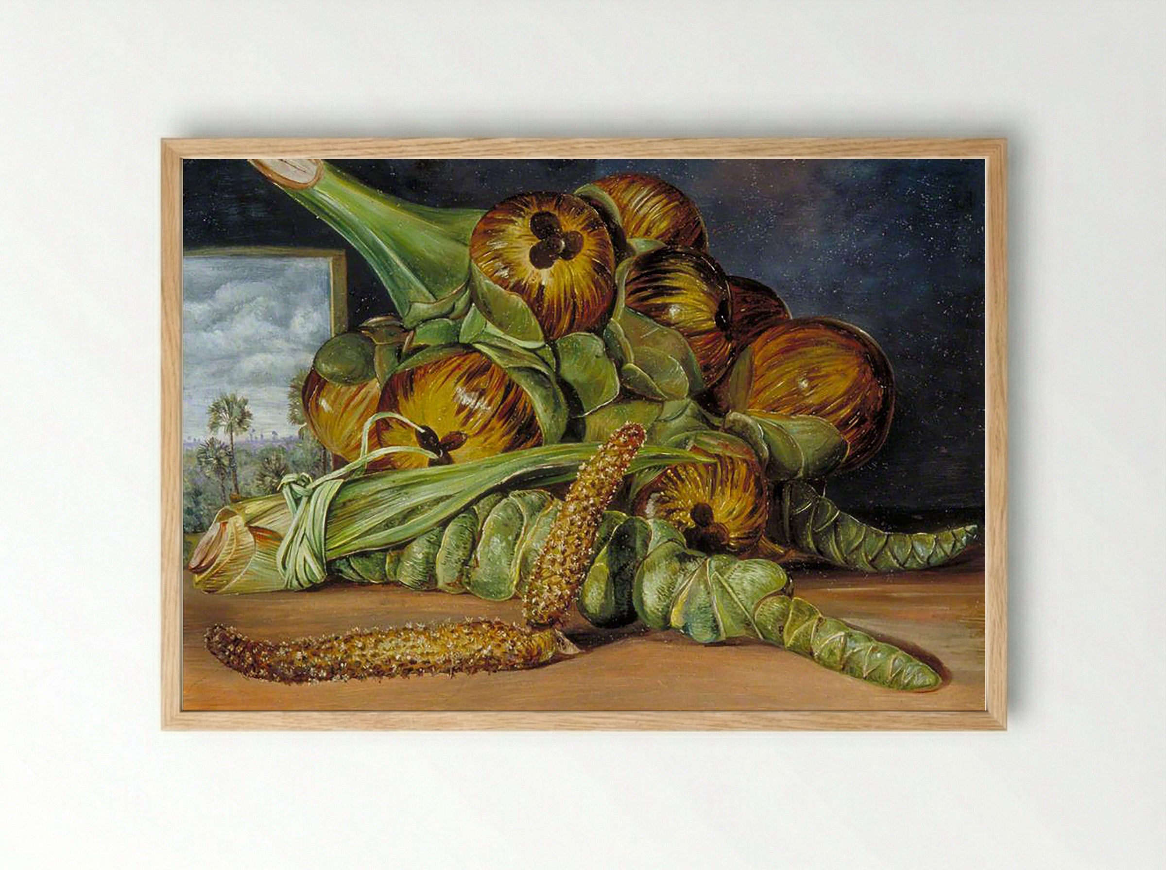 Flowers and Fruit of the Palmyra, and the Palm Seen through a Window, Java - Fine Art Print - Framed Print Wood