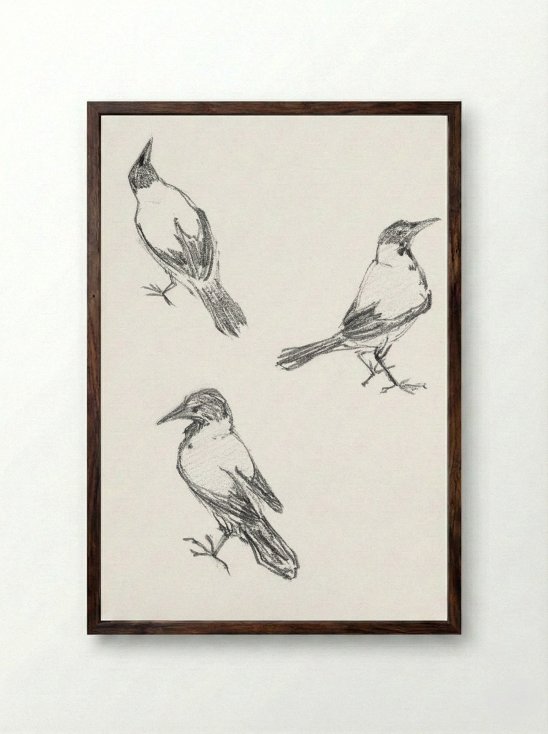 Three Sketches of a Crow - Julie de Graag - Framed Print Dark Wood