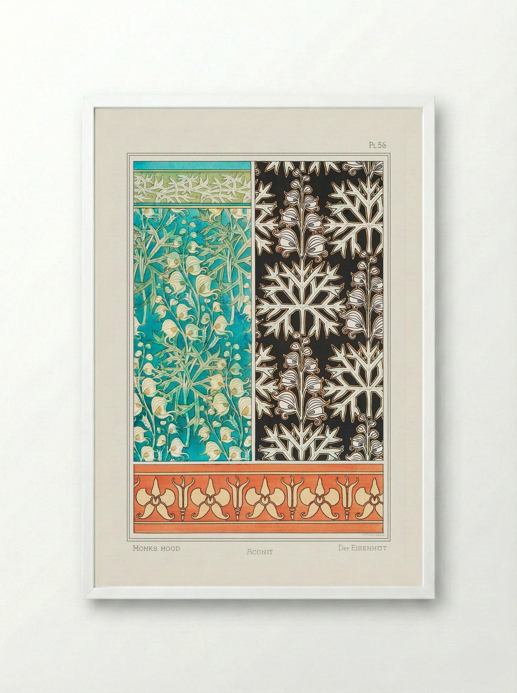 Aconite (Monkshood) - Maurice Pillard Verneuil - Framed Print White