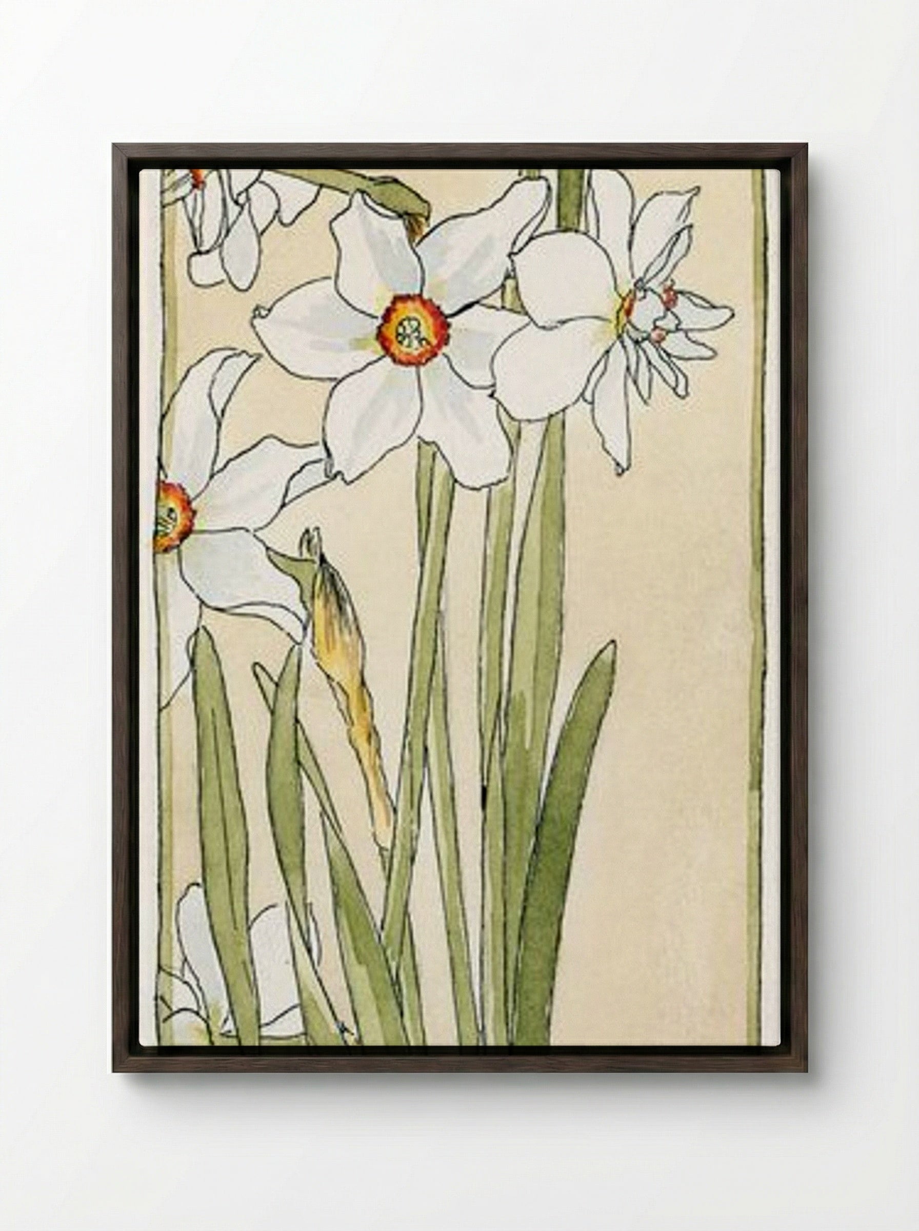 Poet's Narcissus - Hannah Borger Overbeck - Framed Canvas Dark Wood